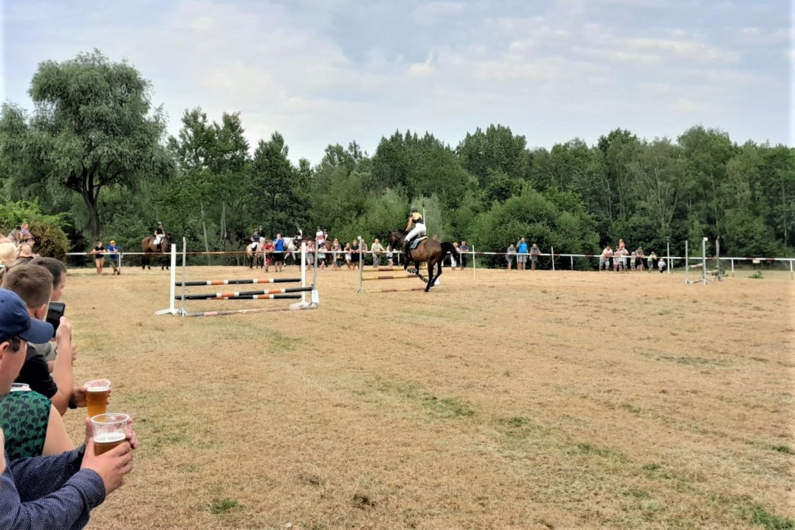 Zdjęcie w galerii na portalu naszwodzislaw.com: XIII Pokaz Konia Śląskiego za nami. Gira najpiękniejsza [FOTO] wiadomości z regionu