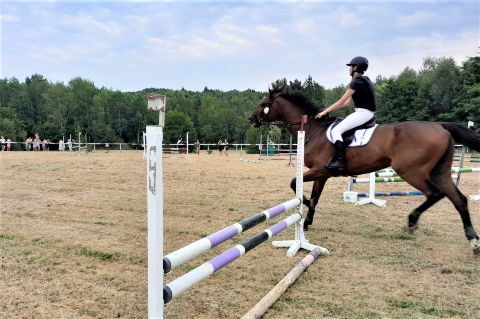 Zdjęcie w galerii na portalu naszwodzislaw.com: XIII Pokaz Konia Śląskiego za nami. Gira najpiękniejsza [FOTO] wiadomości z regionu