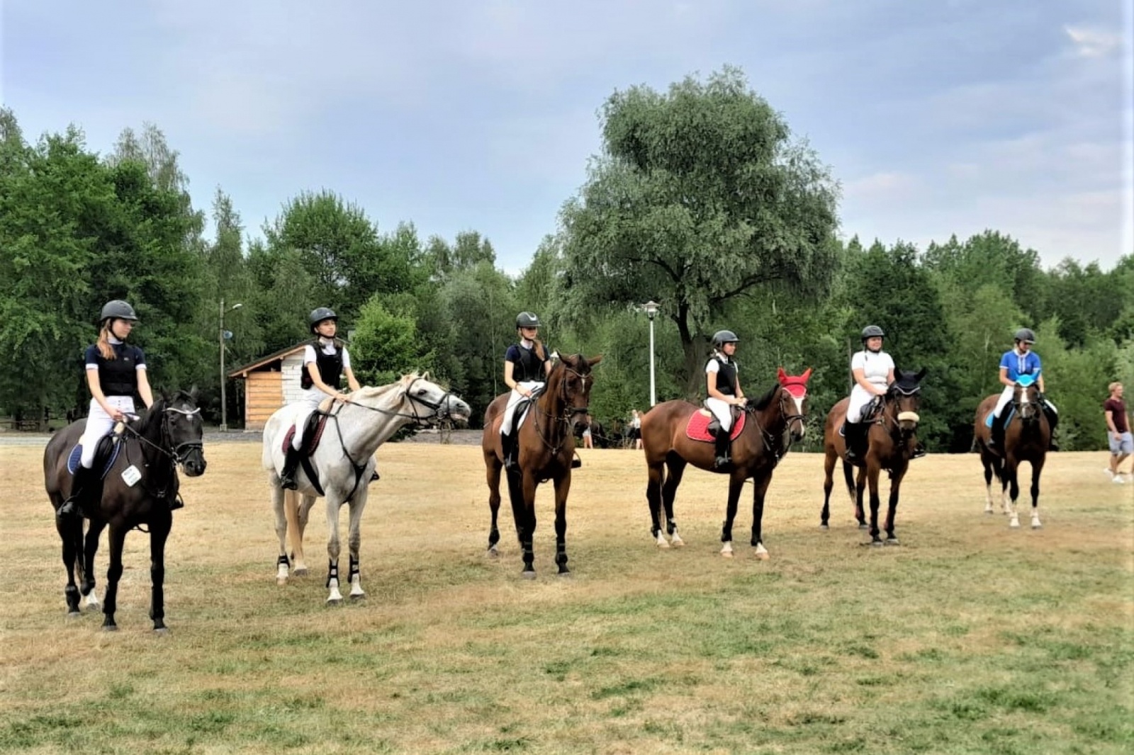 Zdjęcie w galerii na portalu naszwodzislaw.com: XIII Pokaz Konia Śląskiego za nami. Gira najpiękniejsza [FOTO] wiadomości z regionu