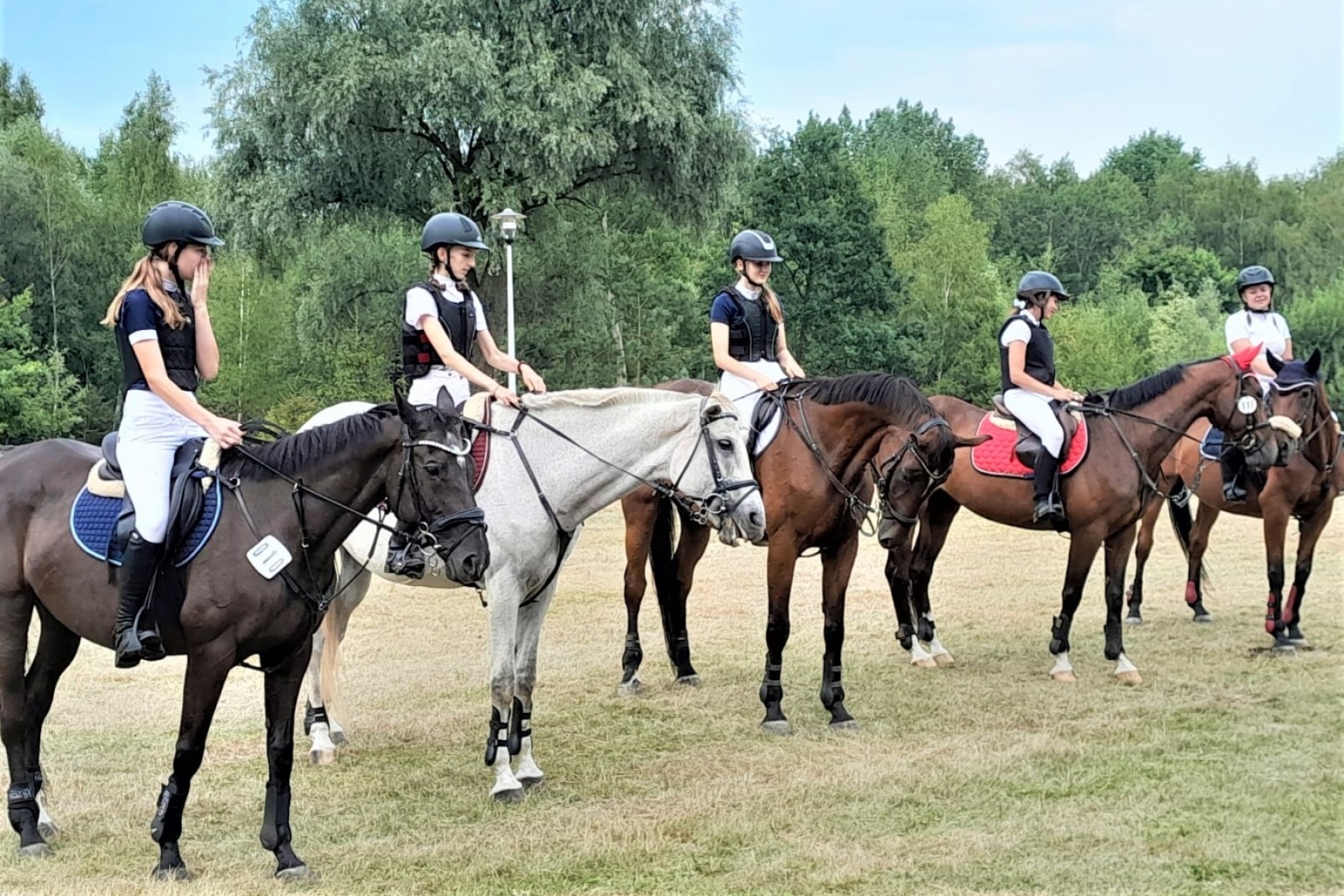 Zdjęcie w galerii na portalu naszwodzislaw.com: XIII Pokaz Konia Śląskiego za nami. Gira najpiękniejsza [FOTO] wiadomości z regionu