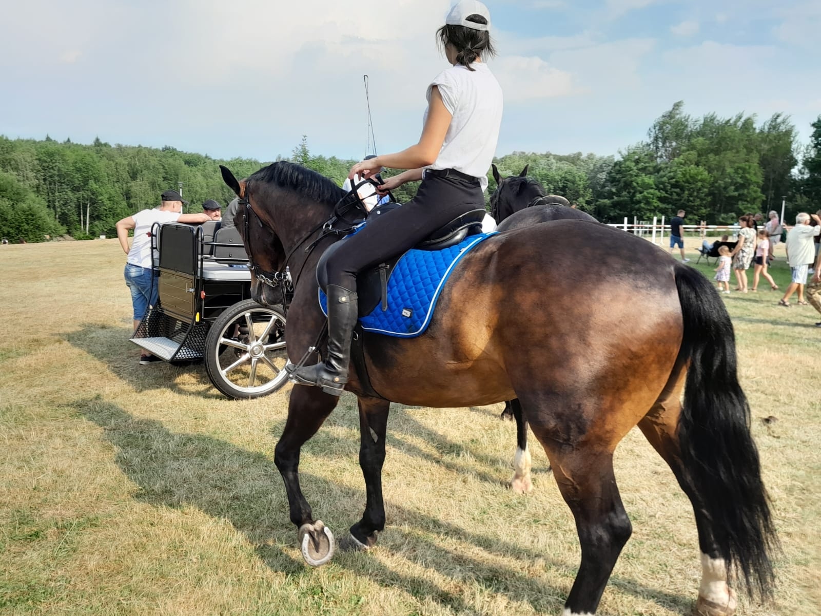 Zdjęcie w galerii na portalu naszwodzislaw.com: XIII Pokaz Konia Śląskiego za nami. Gira najpiękniejsza [FOTO] wiadomości z regionu