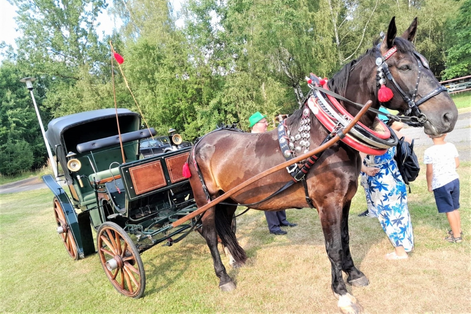 Zdjęcie w galerii na portalu naszwodzislaw.com: XIII Pokaz Konia Śląskiego za nami. Gira najpiękniejsza [FOTO] wiadomości z regionu