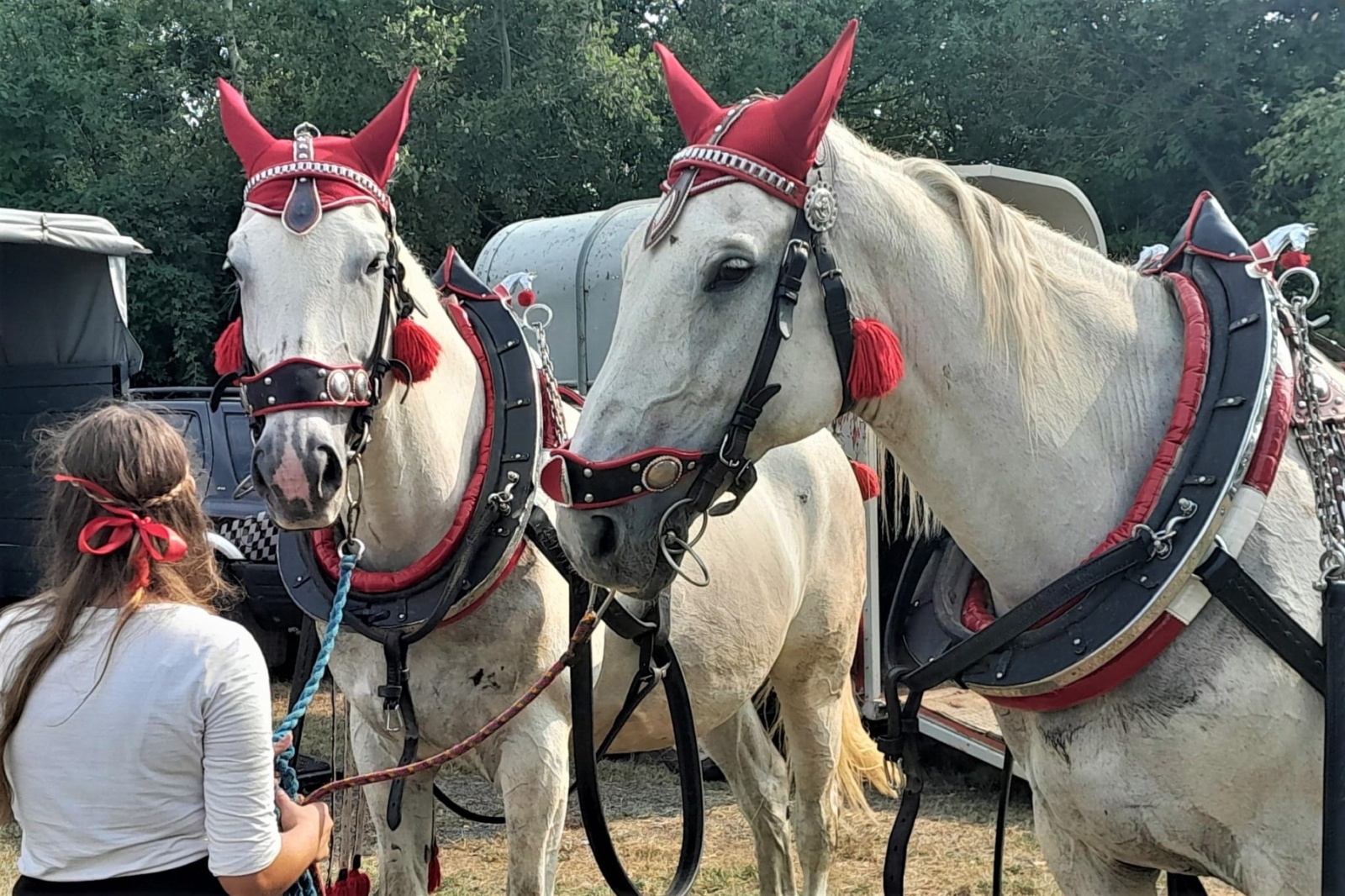 Zdjęcie w galerii na portalu naszwodzislaw.com: XIII Pokaz Konia Śląskiego za nami. Gira najpiękniejsza [FOTO] wiadomości z regionu