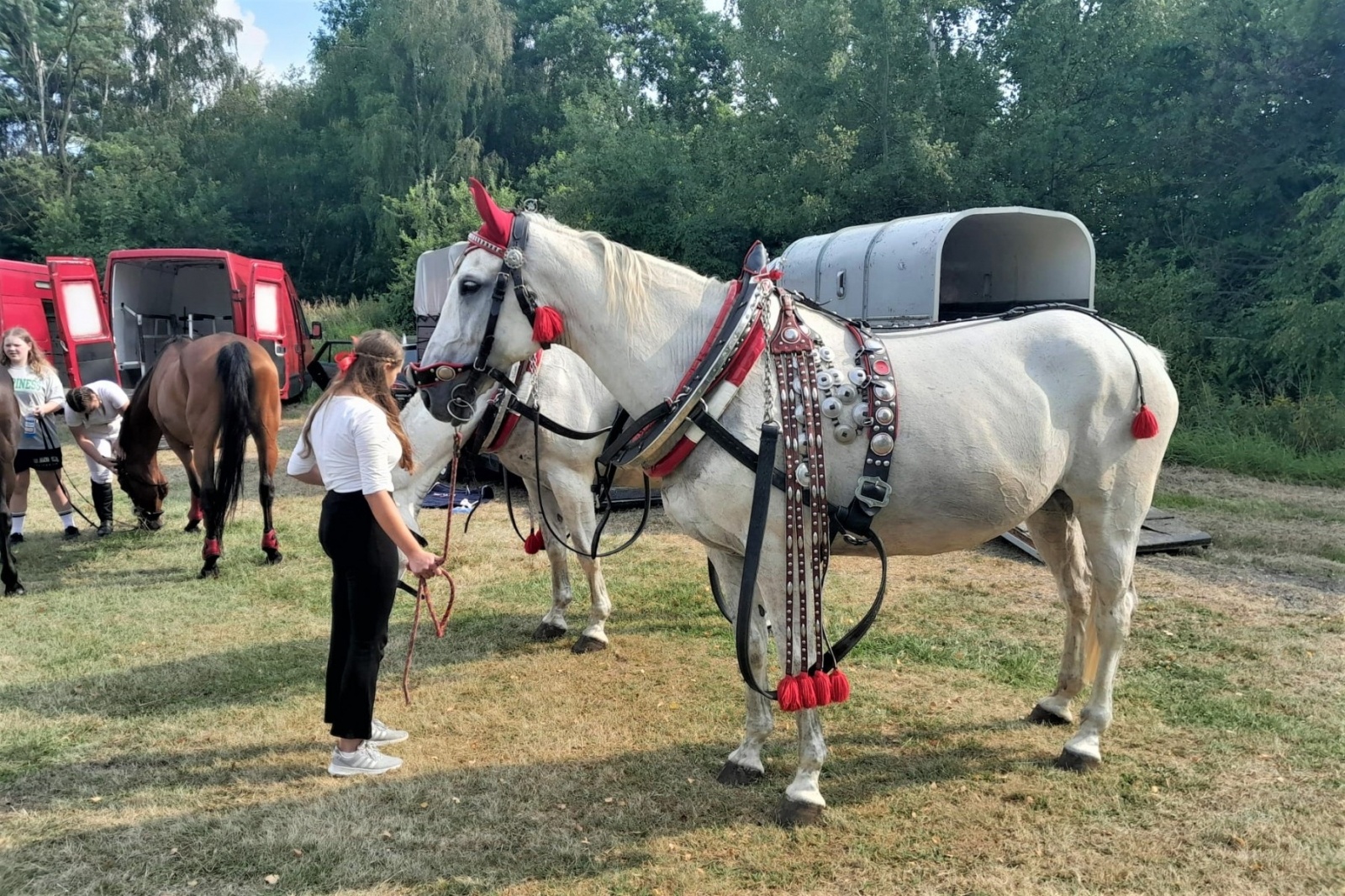 Zdjęcie w galerii na portalu naszwodzislaw.com: XIII Pokaz Konia Śląskiego za nami. Gira najpiękniejsza [FOTO] wiadomości z regionu