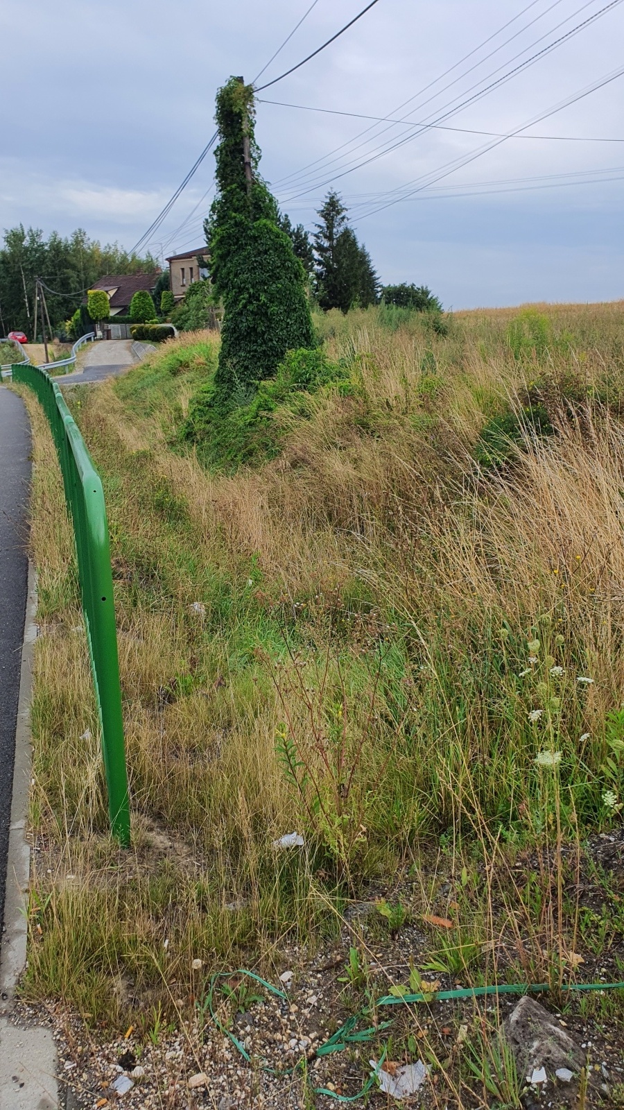 Zdjęcie w galerii na portalu naszwodzislaw.com: Niedopatrzenie i niebezpieczeństwo na DW 933 w Mszanie wiadomości z regionu