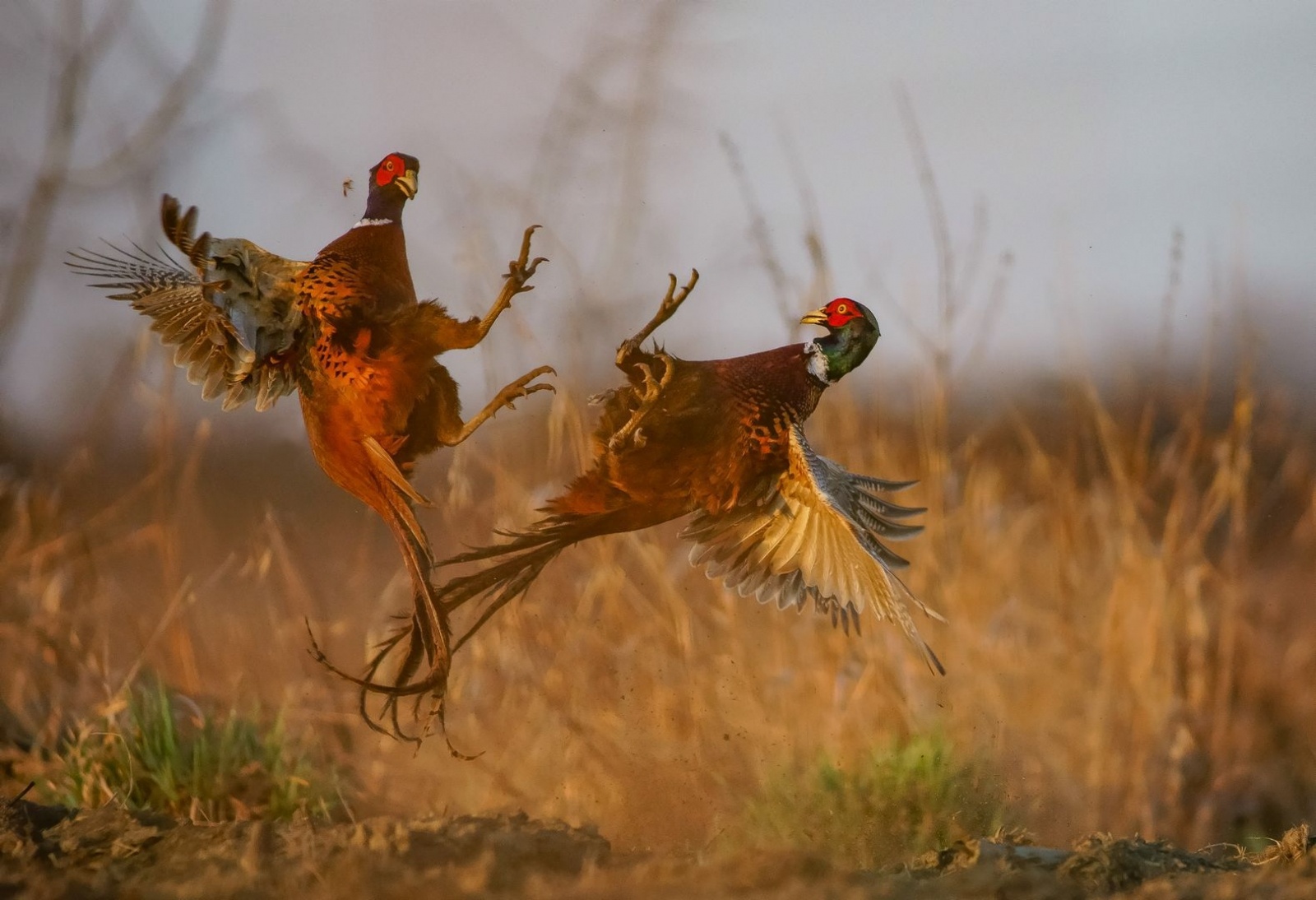 Zdjęcie w galerii na portalu naszwodzislaw.com: Powiatowy konkurs foto rozstrzygnięty wiadomości z regionu