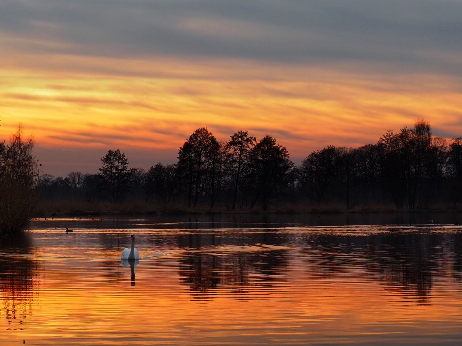 Zdjęcie w galerii na portalu naszwodzislaw.com: Powiatowy konkurs foto rozstrzygnięty wiadomości z regionu