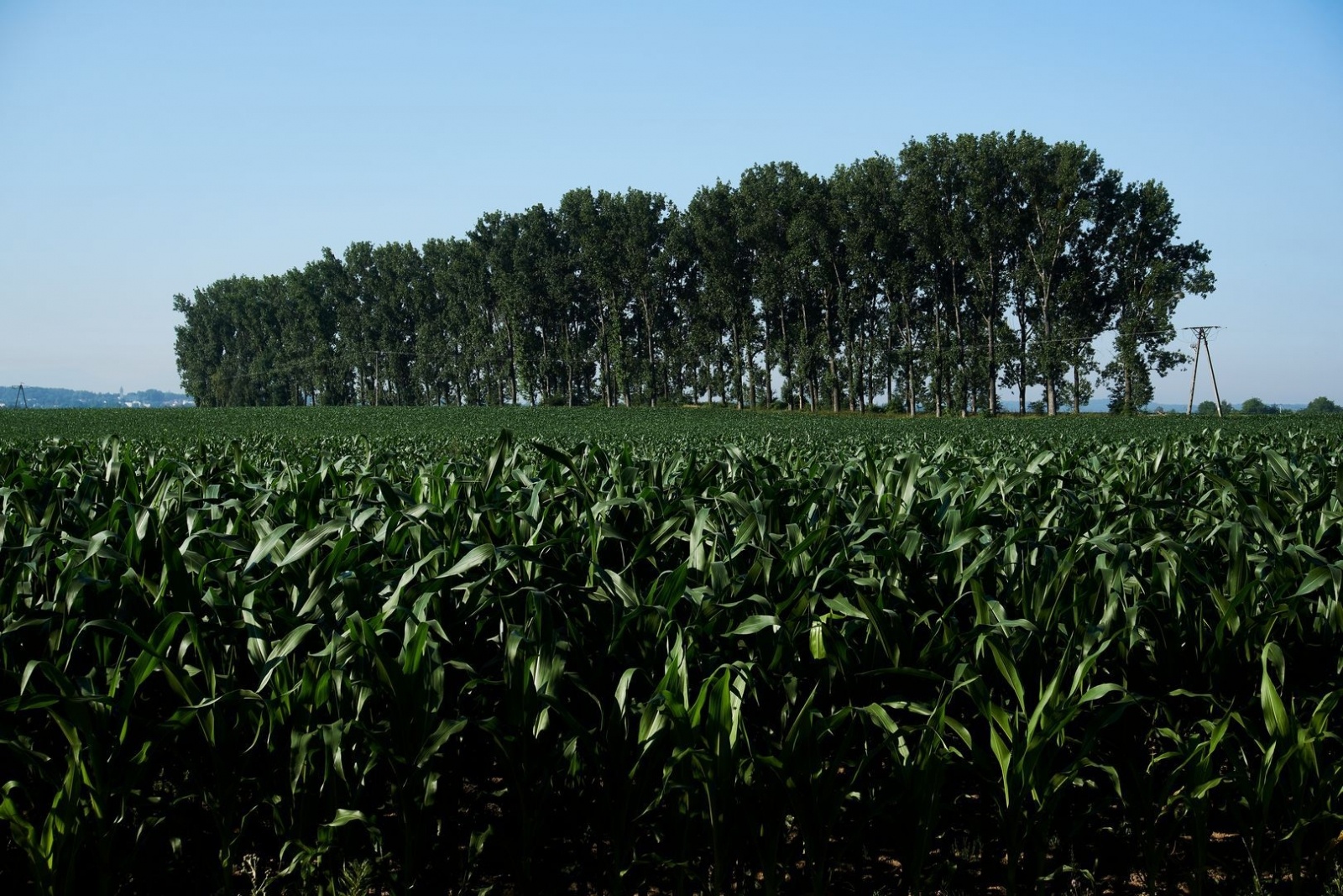 Zdjęcie w galerii na portalu naszwodzislaw.com: Powiatowy konkurs foto rozstrzygnięty wiadomości z regionu