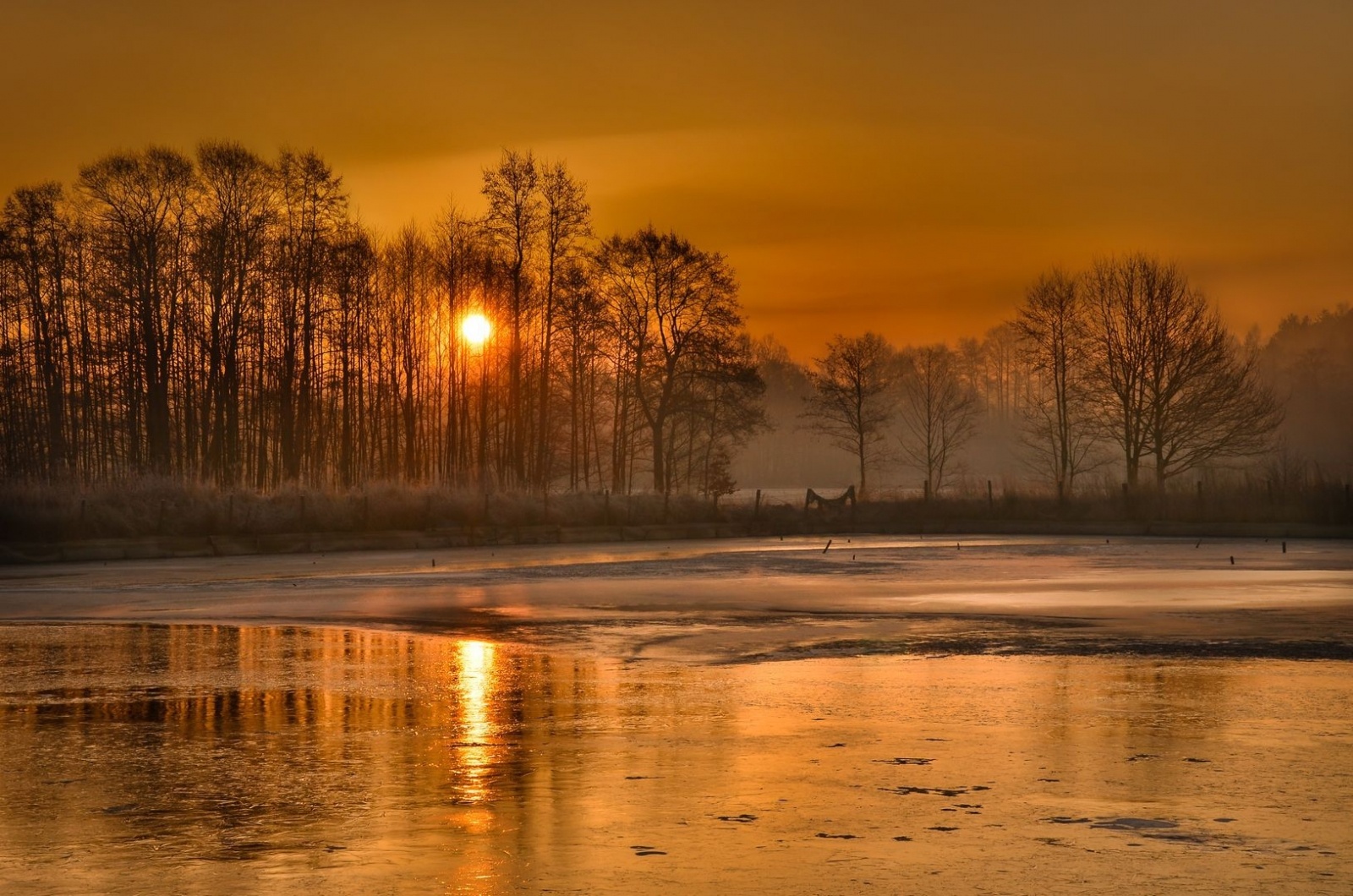 Zdjęcie w galerii na portalu naszwodzislaw.com: Powiatowy konkurs foto rozstrzygnięty wiadomości z regionu