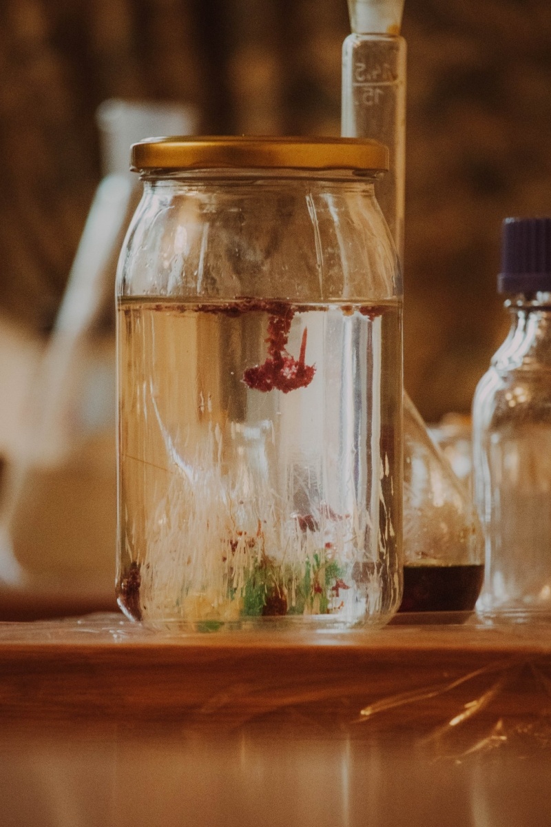 Zdjęcie w galerii na portalu naszwodzislaw.com: Pałac Dietrichsteinów. Wielkie otwarcie za nami [FOTO] wiadomości z regionu