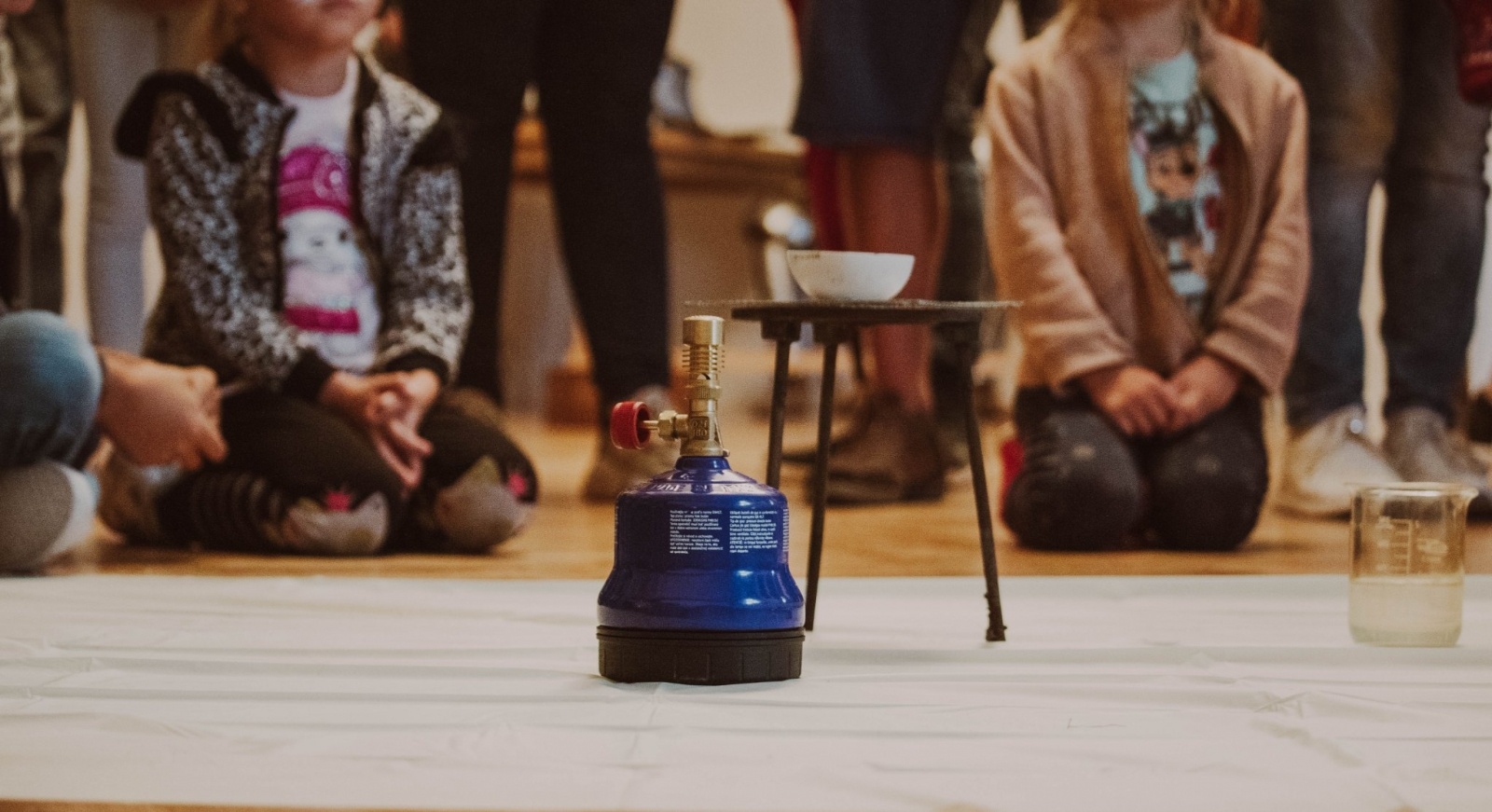 Zdjęcie w galerii na portalu naszwodzislaw.com: Pałac Dietrichsteinów. Wielkie otwarcie za nami [FOTO] wiadomości z regionu