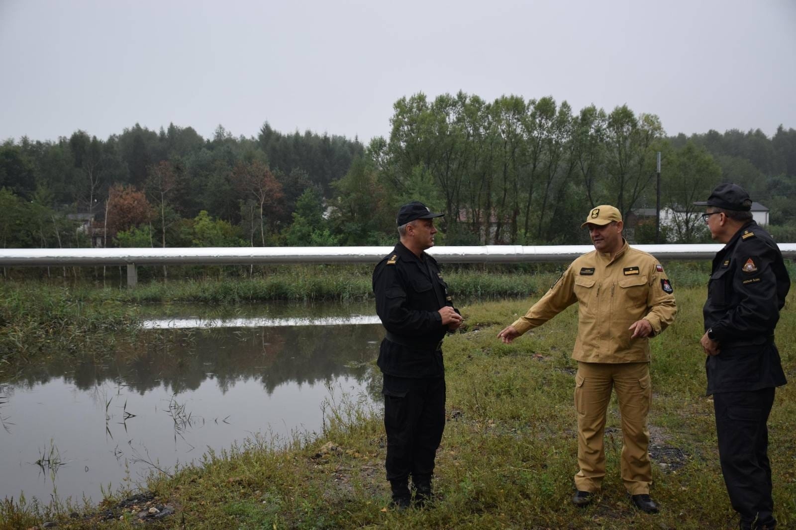 Zdjęcie w galerii na portalu naszwodzislaw.com: Blisko 40 interwencji związanych z usuwaniem skutków nawałnicy wiadomości z regionu