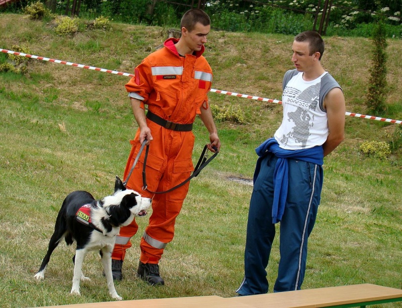 Zdjęcie w galerii na portalu naszwodzislaw.com: Uczniowie za kierownicami terenówek wiadomości z regionu