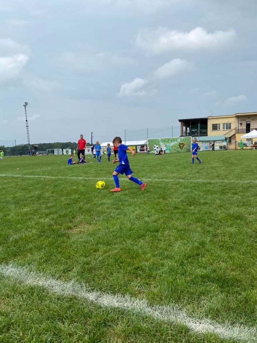 Zdjęcie w galerii na portalu naszwodzislaw.com: Młodzi piłkarze dali czadu na finał Gorzyce Cup 2022 [FOTO] wiadomości z regionu