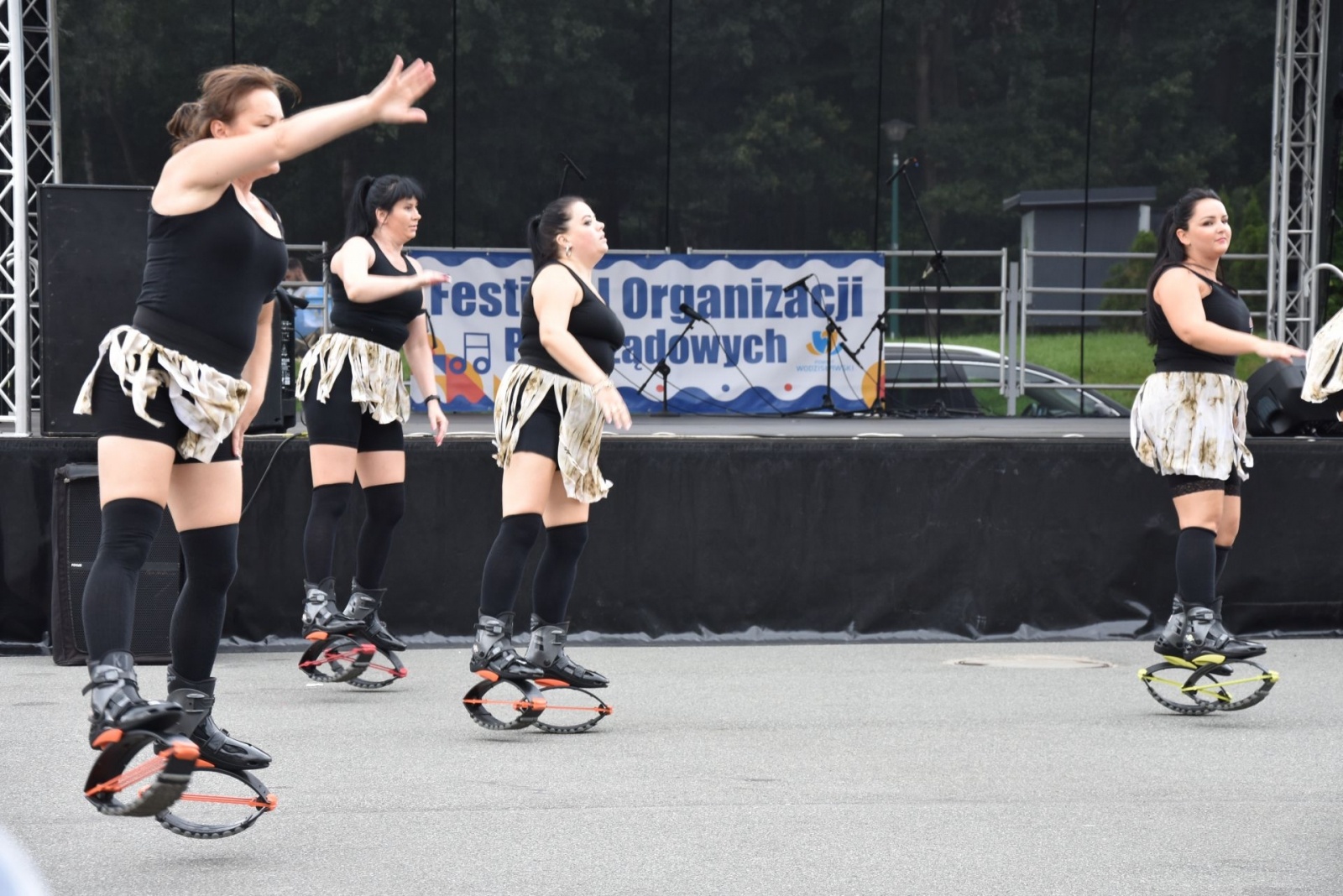 Zdjęcie w galerii na portalu naszwodzislaw.com: Organizacje pozarządowe z powiatu zaprezentowały się na festiwalu [FOTO] wiadomości z regionu