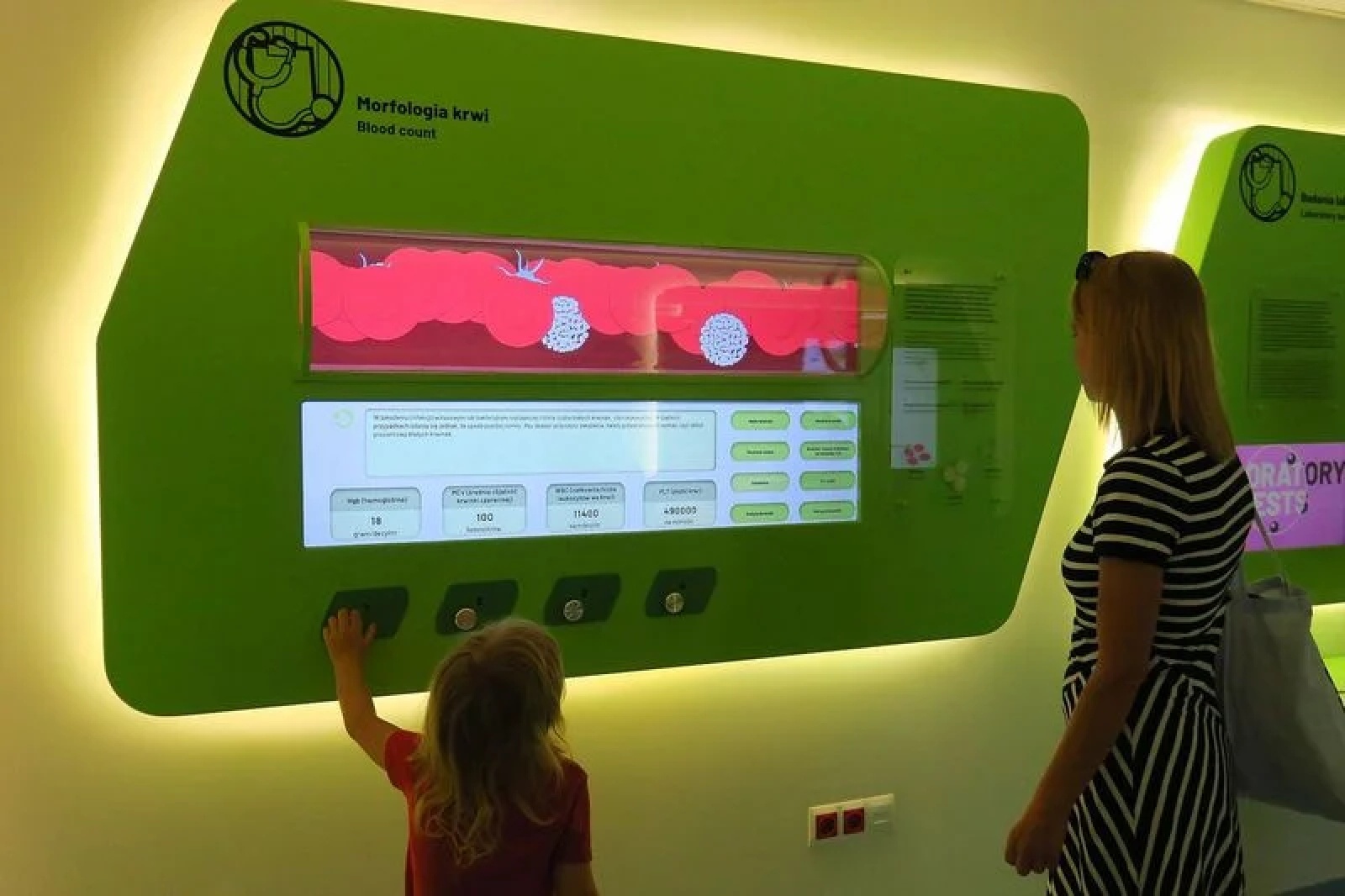 Zdjęcie w galerii na portalu naszwodzislaw.com: Edukatorium Juliusz pozwoli zajrzeć w głąb ludzkiego ciała wiadomości z regionu