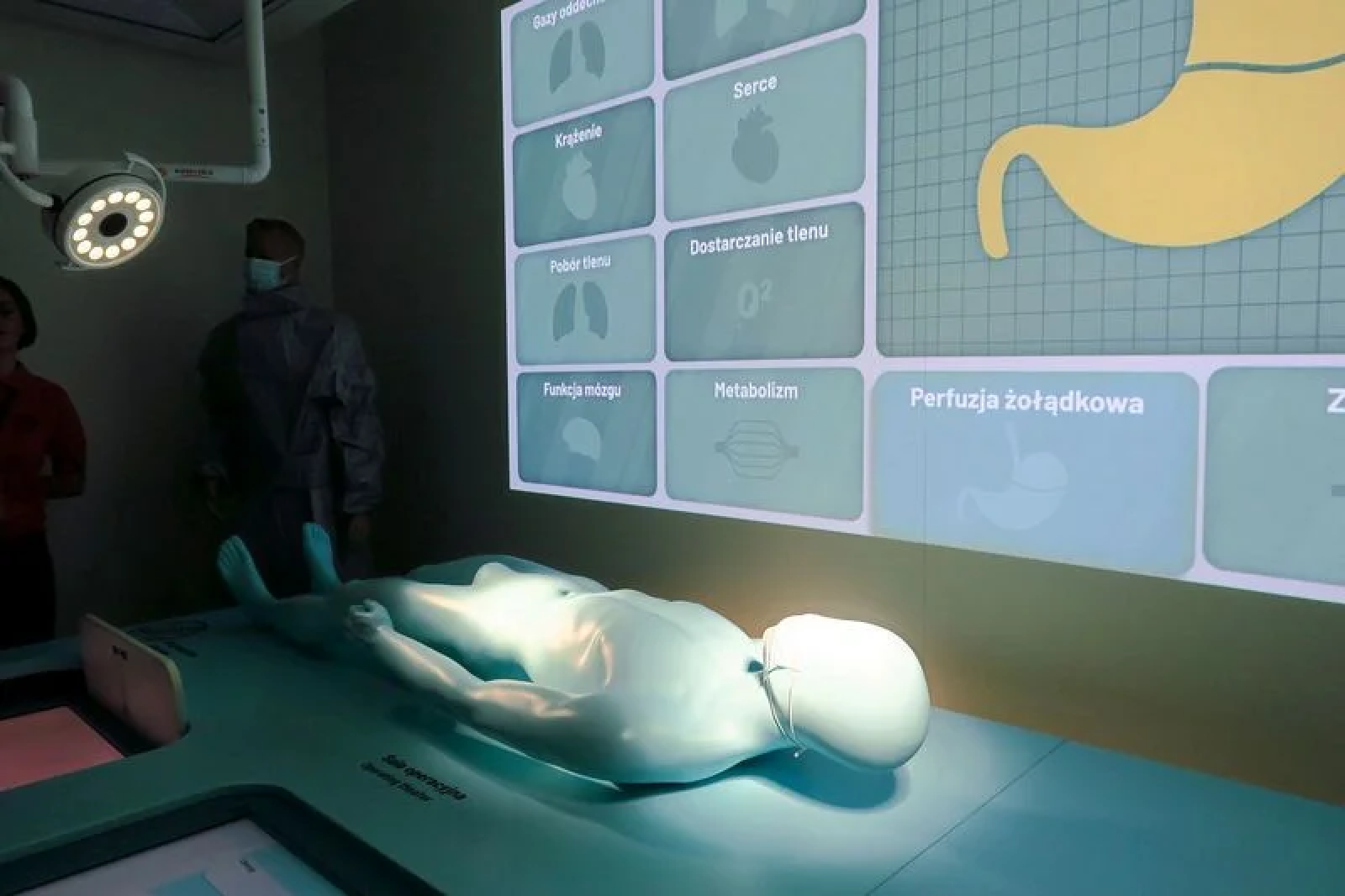 Zdjęcie w galerii na portalu naszwodzislaw.com: Edukatorium Juliusz pozwoli zajrzeć w głąb ludzkiego ciała wiadomości z regionu