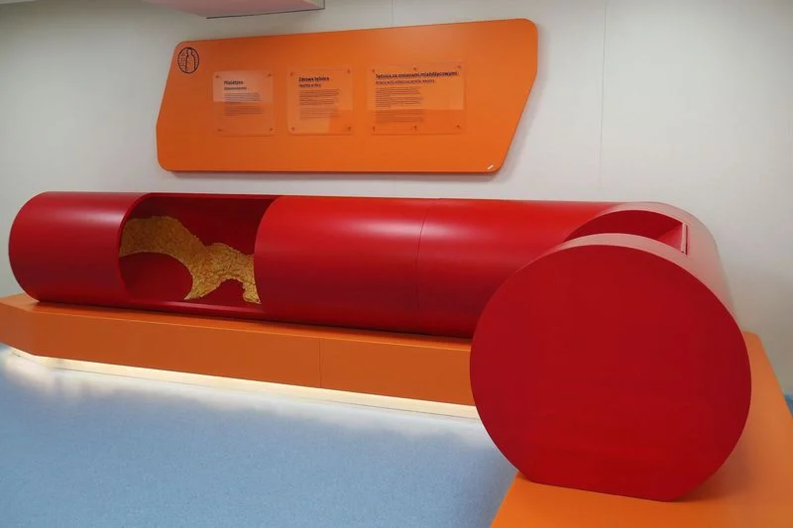 Zdjęcie w galerii na portalu naszwodzislaw.com: Edukatorium Juliusz pozwoli zajrzeć w głąb ludzkiego ciała wiadomości z regionu