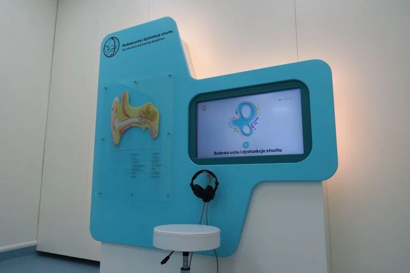 Zdjęcie w galerii na portalu naszwodzislaw.com: Edukatorium Juliusz pozwoli zajrzeć w głąb ludzkiego ciała wiadomości z regionu