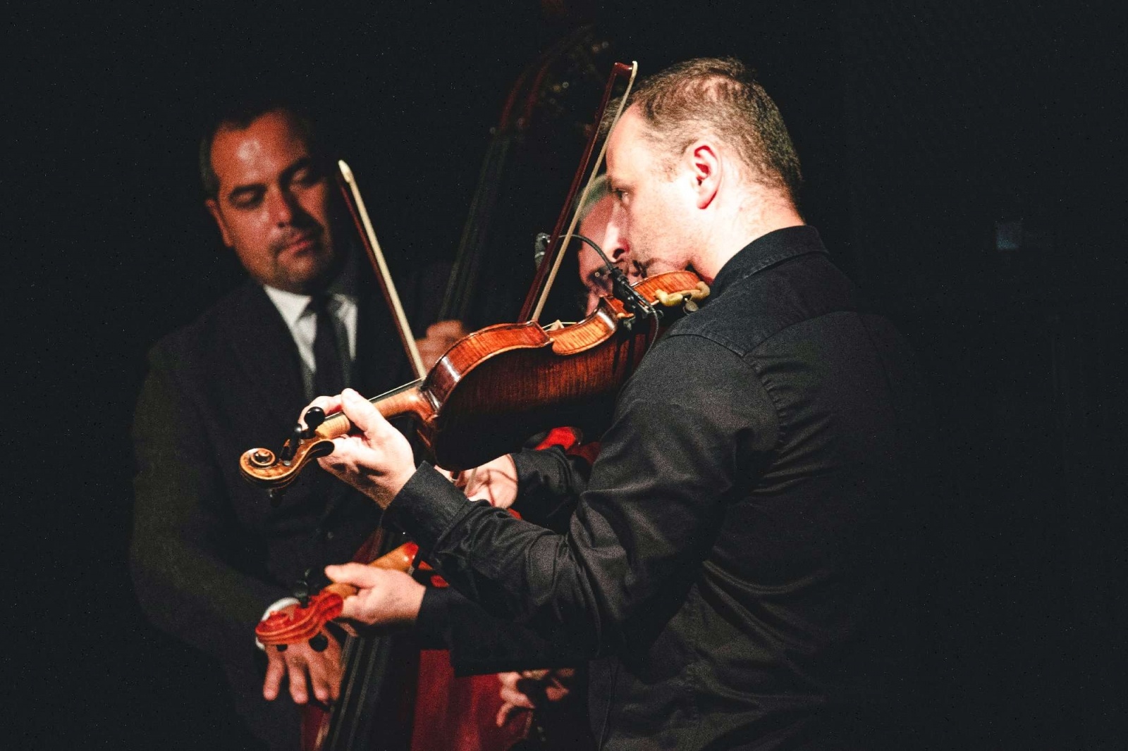 Zdjęcie w galerii na portalu naszwodzislaw.com: Koncert pt. Dzieci dla pokoju w Pałacu Dietrichsteinów wiadomości z regionu