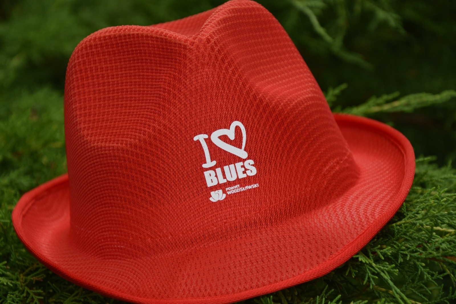 Zdjęcie w galerii na portalu naszwodzislaw.com: Prawie 900 osób bawiło się na Powiatowym Bluesie [FOTO] wiadomości z regionu