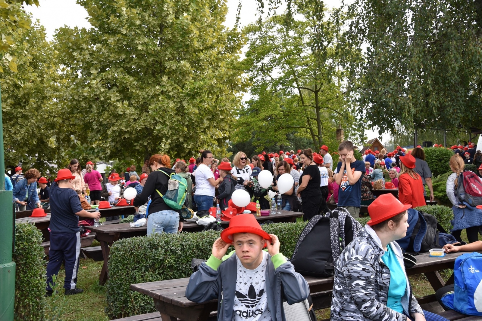 Zdjęcie w galerii na portalu naszwodzislaw.com: Prawie 900 osób bawiło się na Powiatowym Bluesie [FOTO] wiadomości z regionu