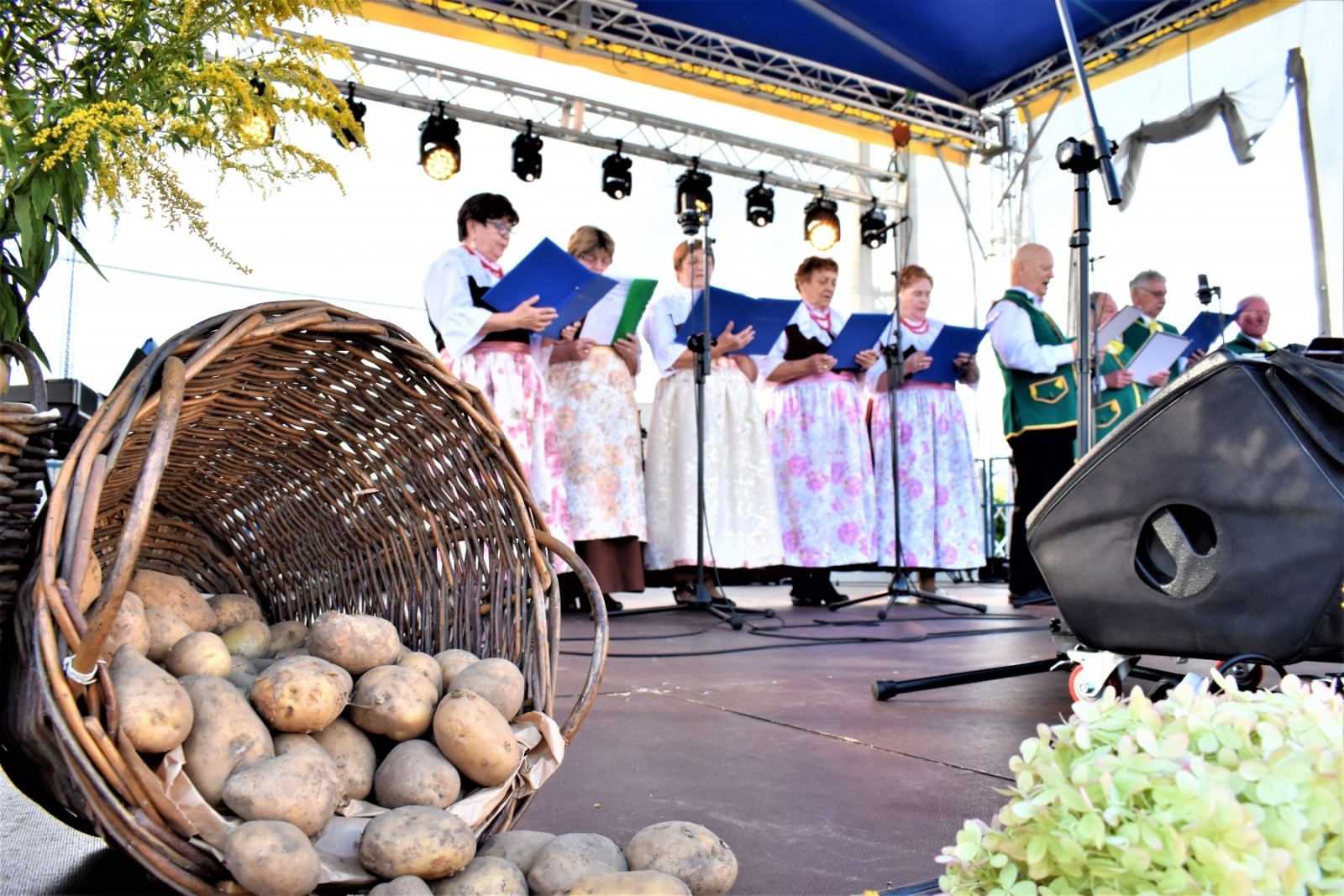 Zdjęcie w galerii na portalu naszwodzislaw.com: Gmina Godów. Festyn ziemniaczany za nami [FOTO] wiadomości z regionu