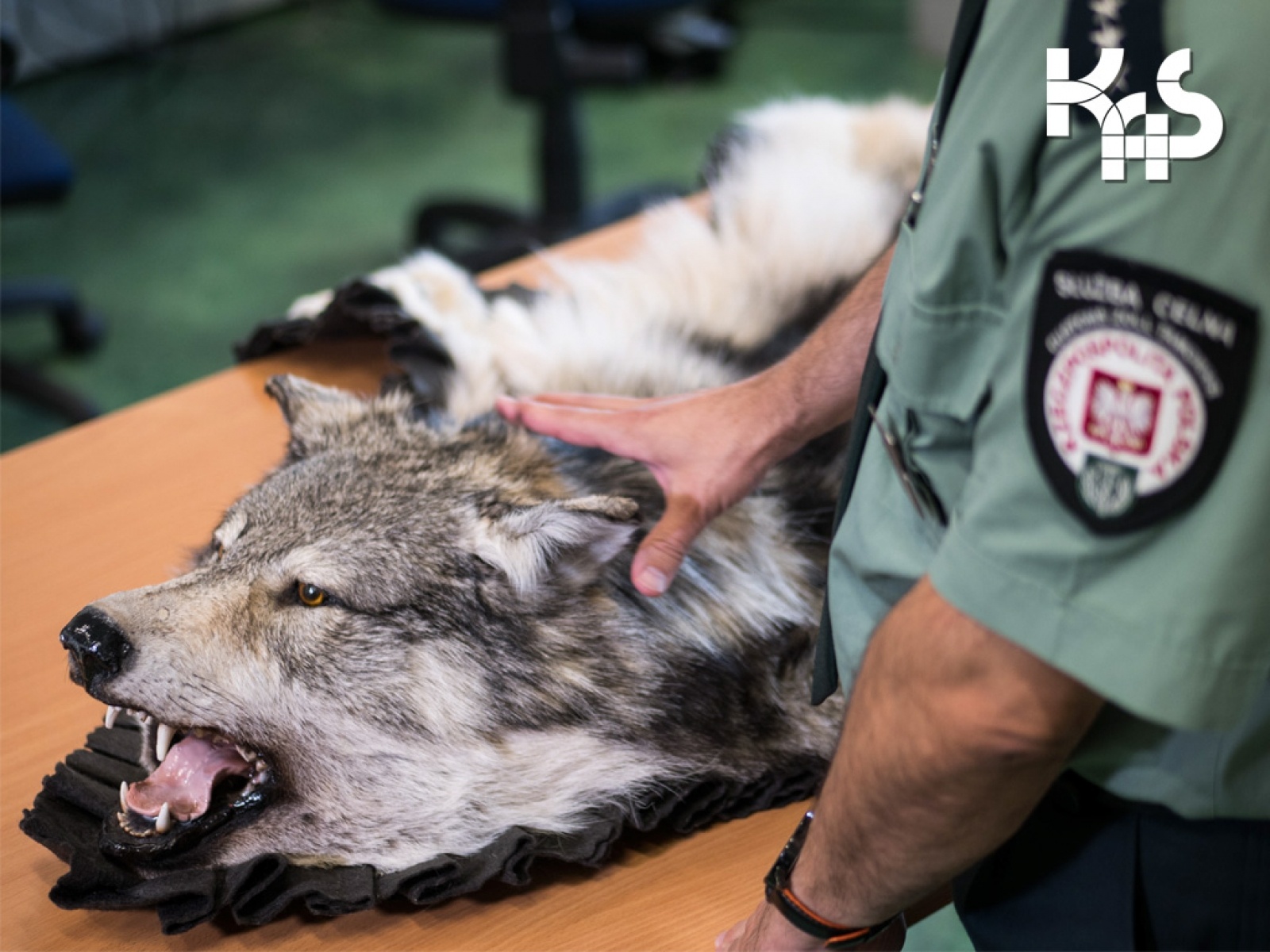 Zdjęcie w galerii na portalu naszwodzislaw.com: Blisko 4000 zł na początek i emerytura po 25 latach. KAS szuka ludzi do służby wiadomości z regionu