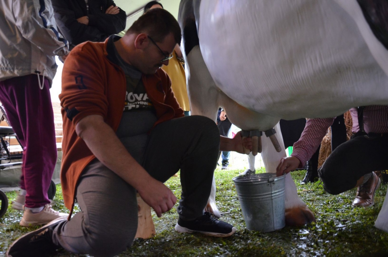 Zdjęcie w galerii na portalu naszwodzislaw.com: To była biesiada bez barier [FOTO] wiadomości z regionu