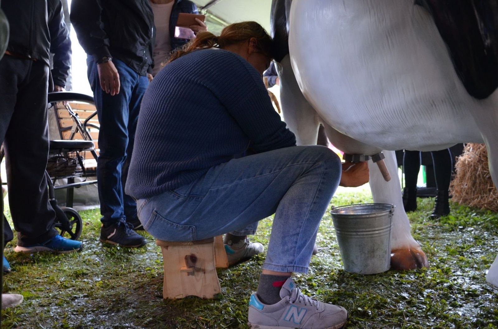 Zdjęcie w galerii na portalu naszwodzislaw.com: To była biesiada bez barier [FOTO] wiadomości z regionu
