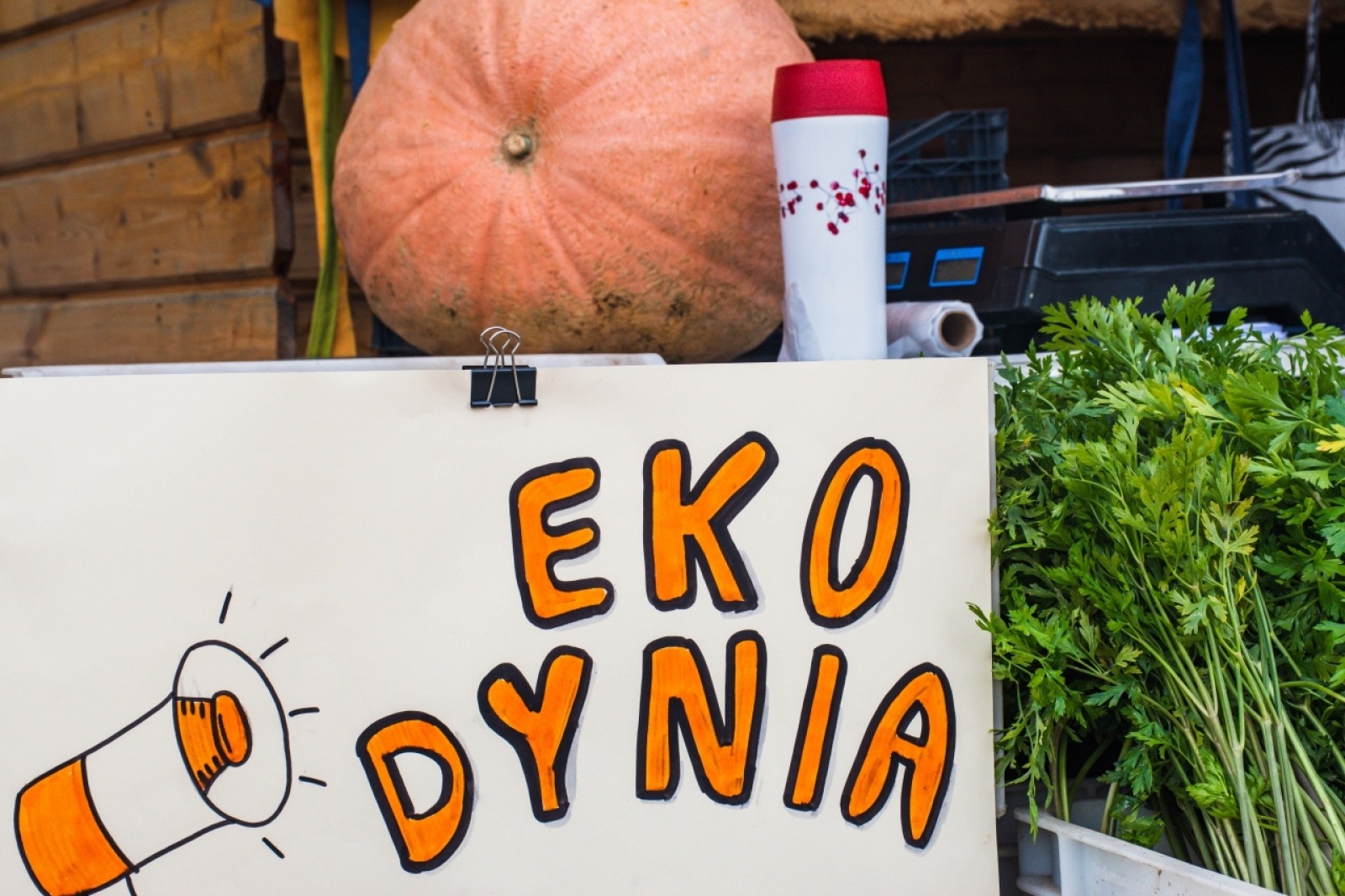 Zdjęcie w galerii na portalu naszwodzislaw.com: Klimatyczny DzieJesie(ń) Festiwal za nami [FOTO] wiadomości z regionu