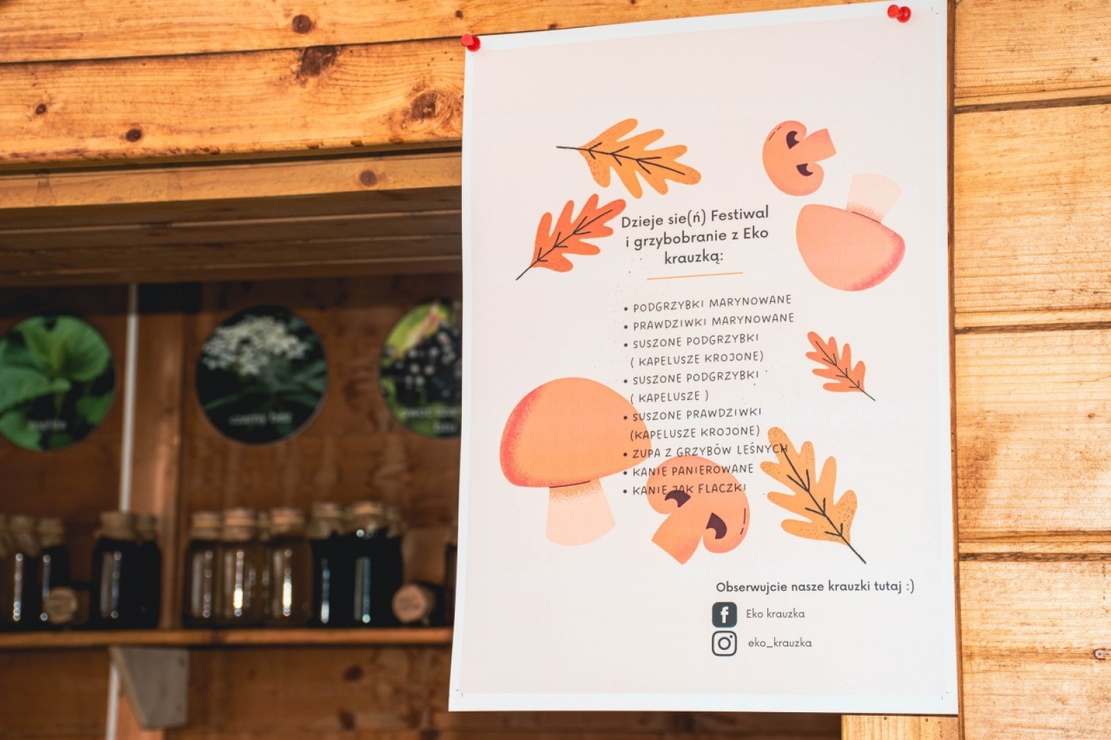 Zdjęcie w galerii na portalu naszwodzislaw.com: Klimatyczny DzieJesie(ń) Festiwal za nami [FOTO] wiadomości z regionu