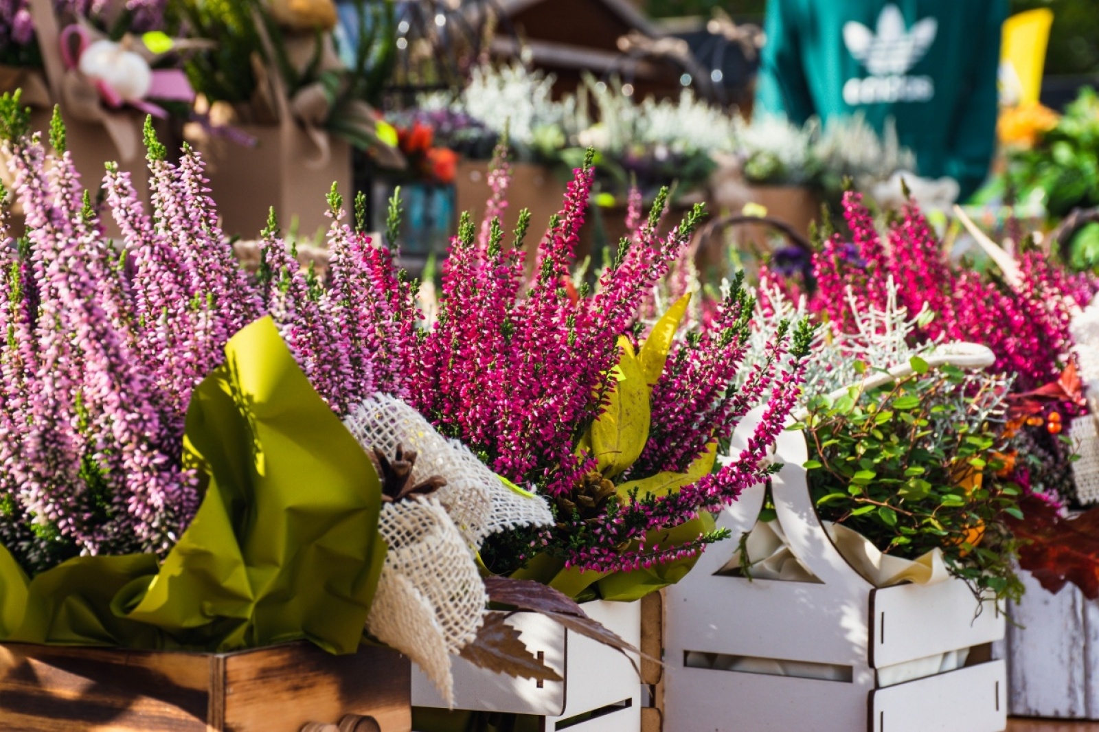 Zdjęcie w galerii na portalu naszwodzislaw.com: Klimatyczny DzieJesie(ń) Festiwal za nami [FOTO] wiadomości z regionu
