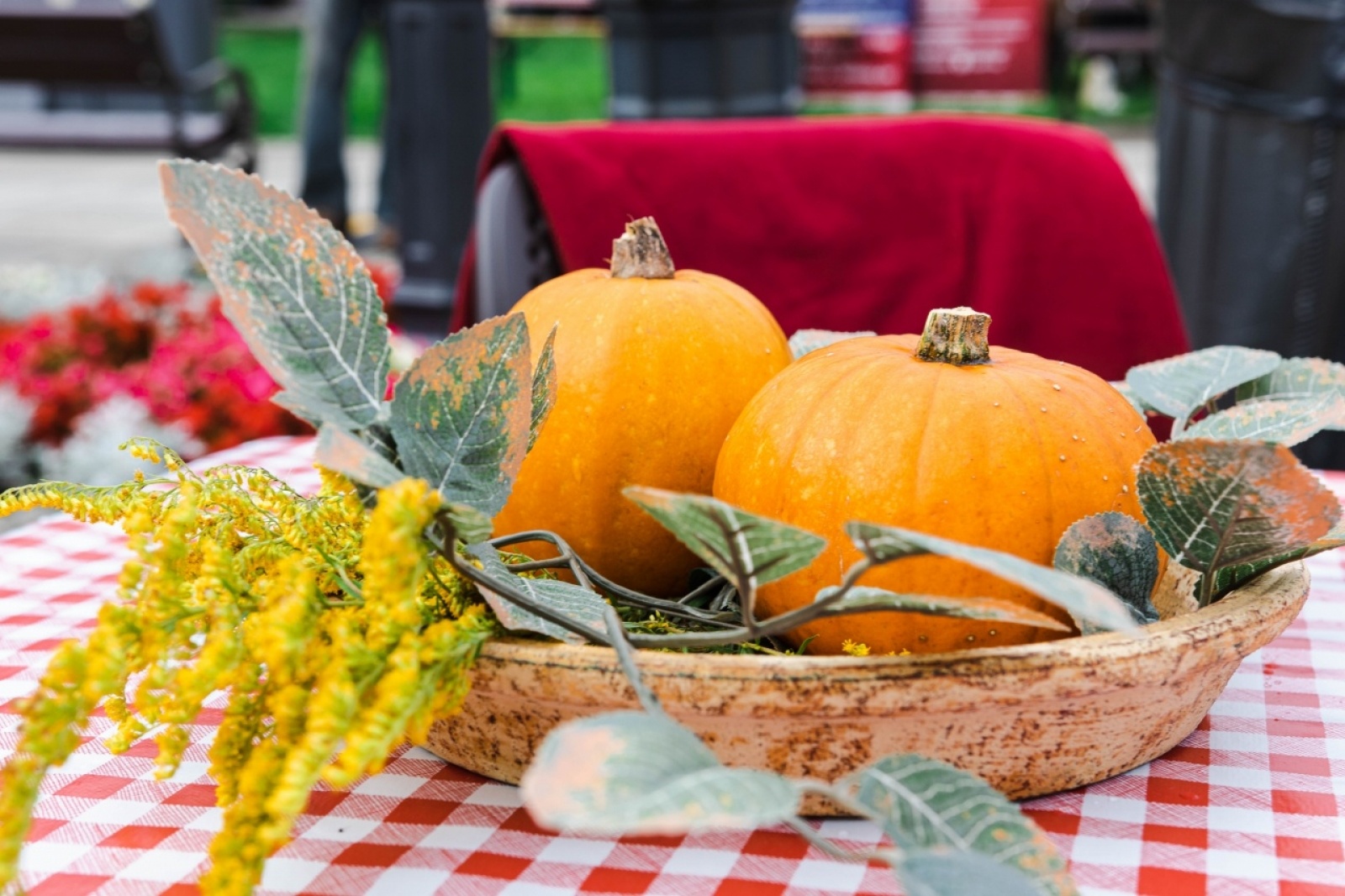 Zdjęcie w galerii na portalu naszwodzislaw.com: Klimatyczny DzieJesie(ń) Festiwal za nami [FOTO] wiadomości z regionu