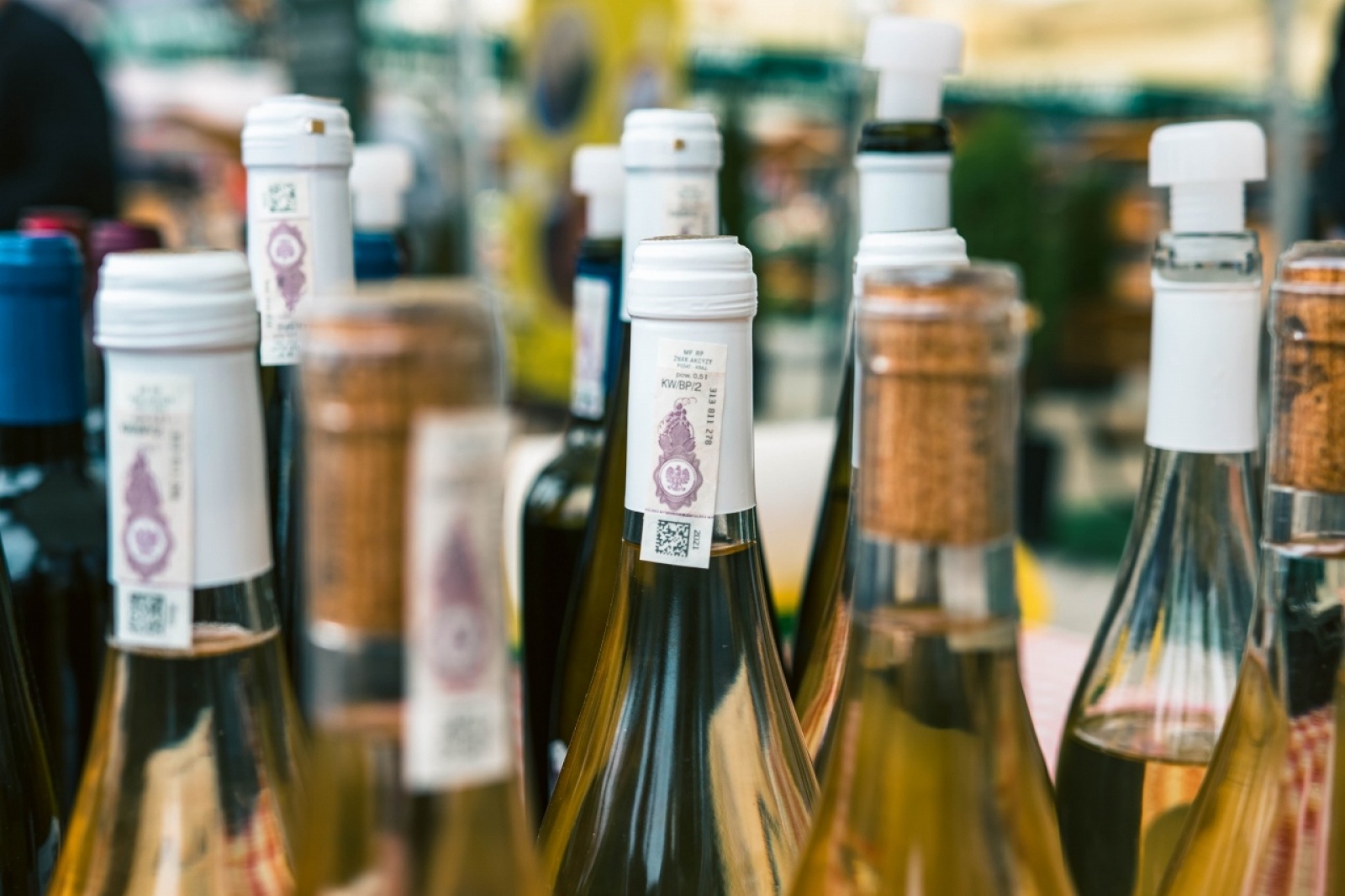 Zdjęcie w galerii na portalu naszwodzislaw.com: Klimatyczny DzieJesie(ń) Festiwal za nami [FOTO] wiadomości z regionu