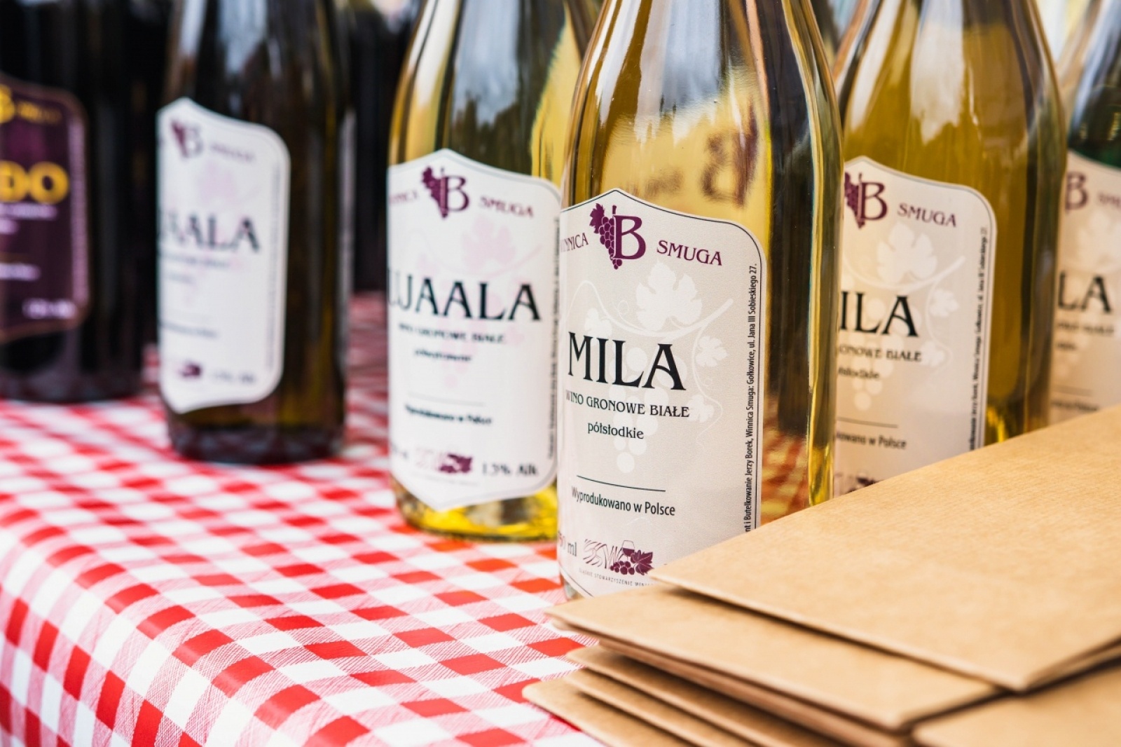 Zdjęcie w galerii na portalu naszwodzislaw.com: Klimatyczny DzieJesie(ń) Festiwal za nami [FOTO] wiadomości z regionu