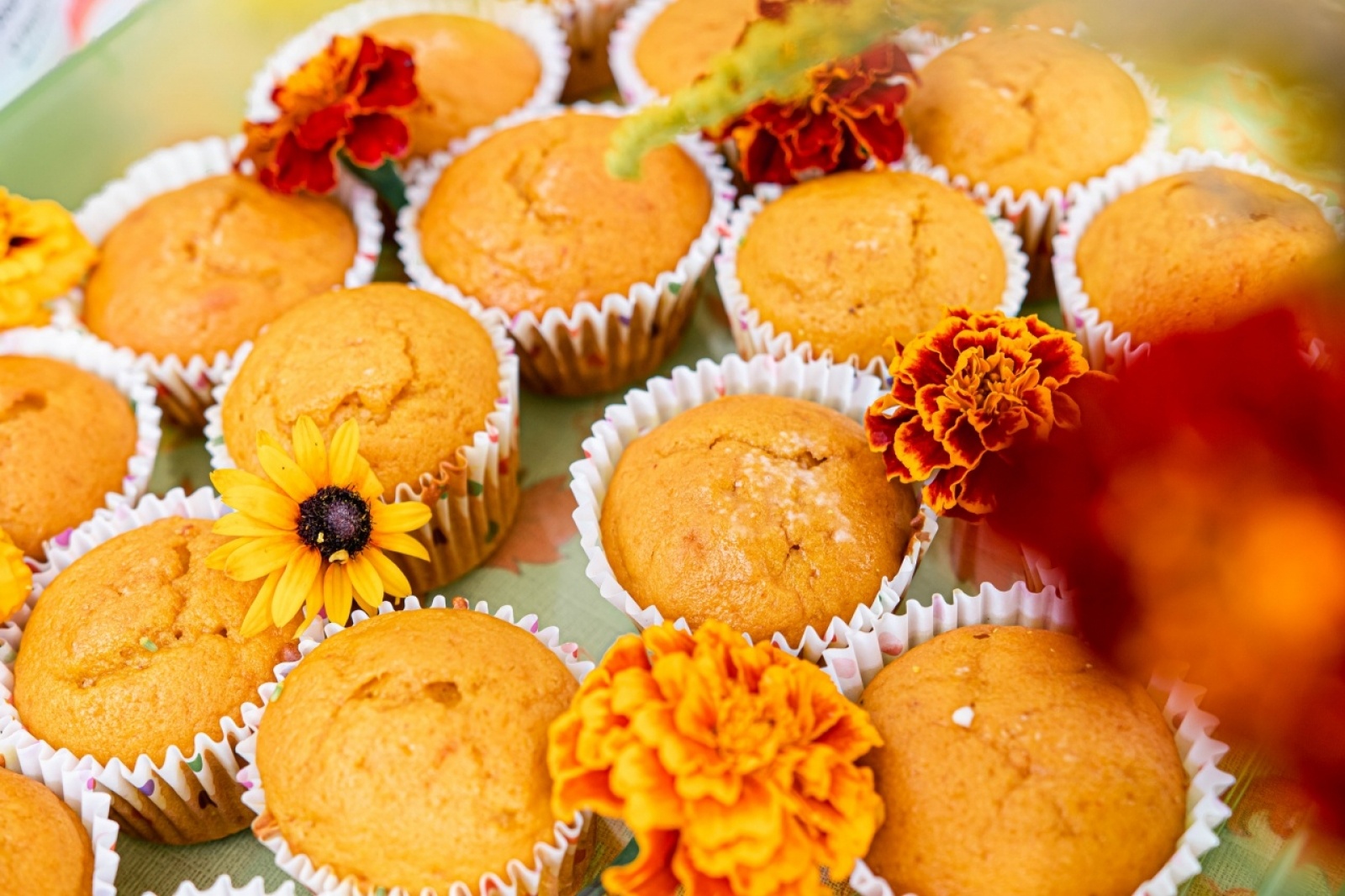 Zdjęcie w galerii na portalu naszwodzislaw.com: Klimatyczny DzieJesie(ń) Festiwal za nami [FOTO] wiadomości z regionu