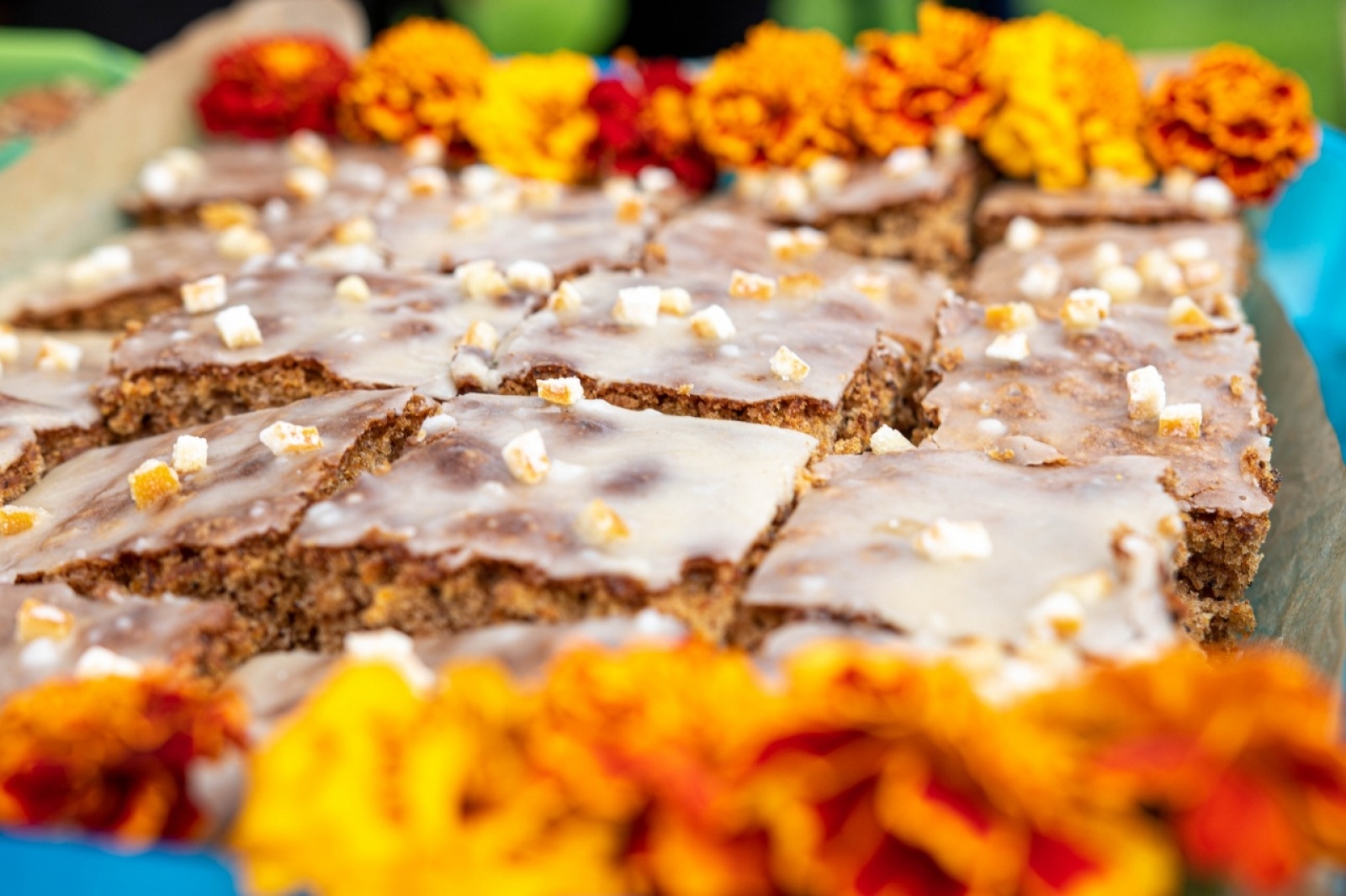 Zdjęcie w galerii na portalu naszwodzislaw.com: Klimatyczny DzieJesie(ń) Festiwal za nami [FOTO] wiadomości z regionu