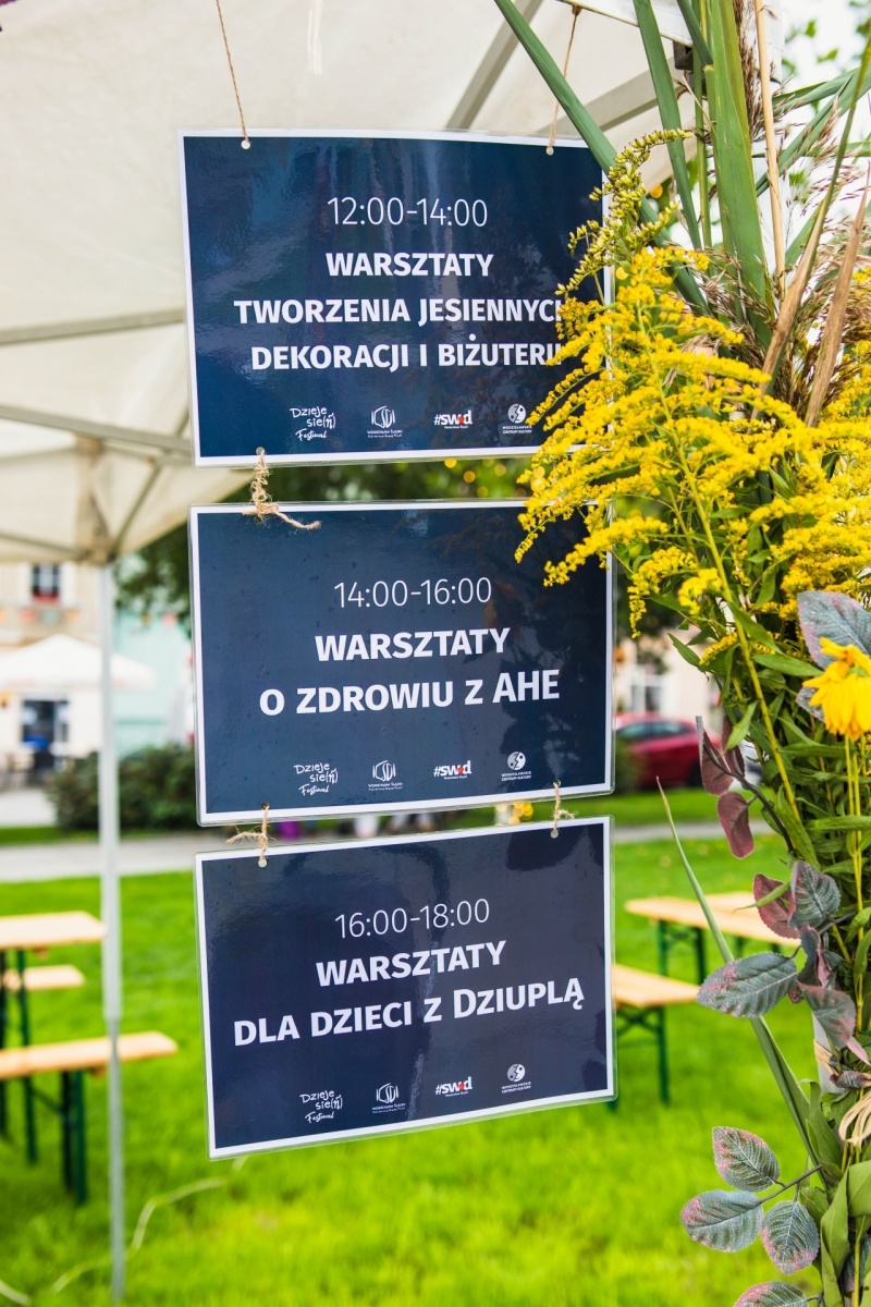 Zdjęcie w galerii na portalu naszwodzislaw.com: Klimatyczny DzieJesie(ń) Festiwal za nami [FOTO] wiadomości z regionu