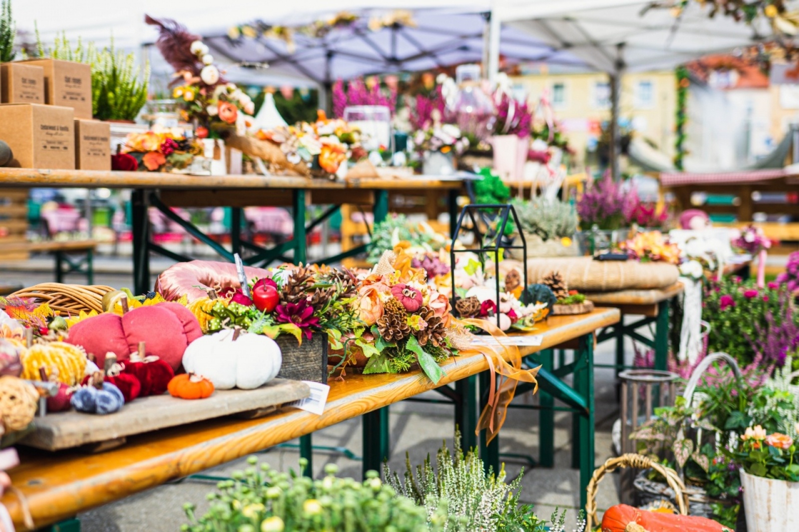 Zdjęcie w galerii na portalu naszwodzislaw.com: Klimatyczny DzieJesie(ń) Festiwal za nami [FOTO] wiadomości z regionu