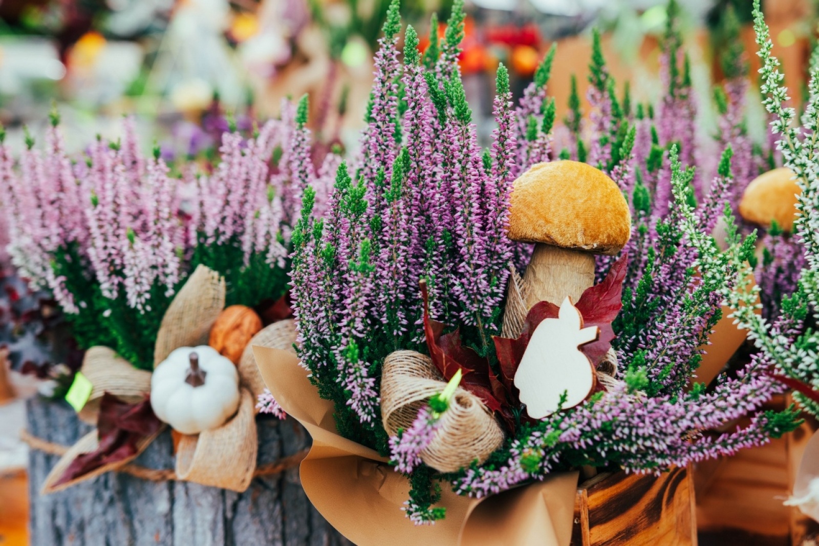 Zdjęcie w galerii na portalu naszwodzislaw.com: Klimatyczny DzieJesie(ń) Festiwal za nami [FOTO] wiadomości z regionu