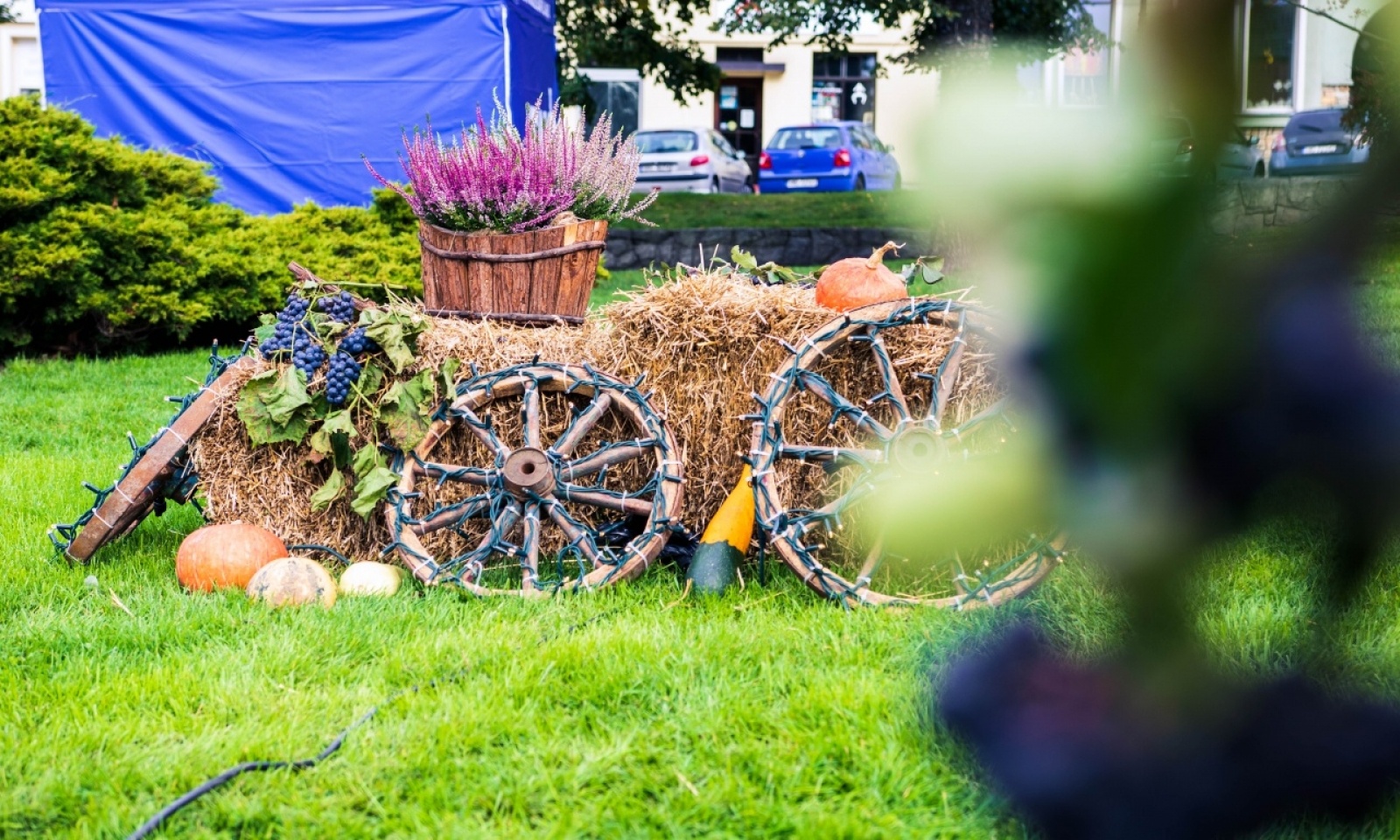 Zdjęcie w galerii na portalu naszwodzislaw.com: Klimatyczny DzieJesie(ń) Festiwal za nami [FOTO] wiadomości z regionu