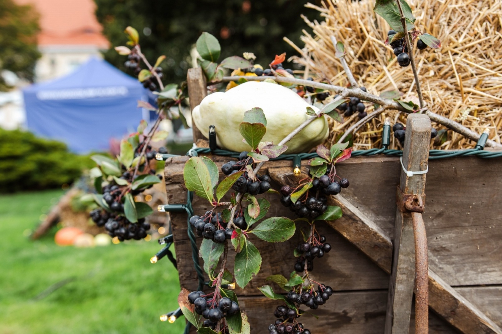 Zdjęcie w galerii na portalu naszwodzislaw.com: Klimatyczny DzieJesie(ń) Festiwal za nami [FOTO] wiadomości z regionu