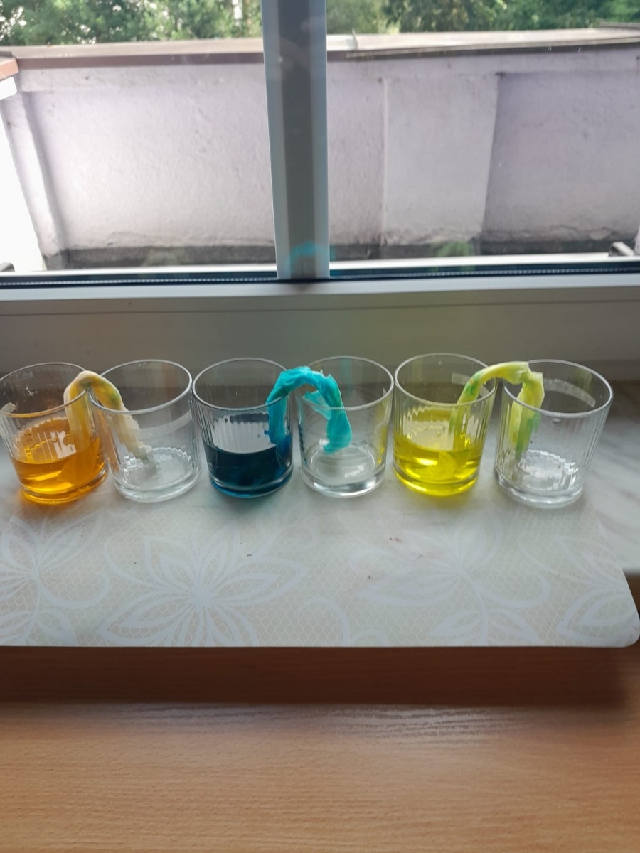 Zdjęcie w galerii na portalu naszwodzislaw.com: Naukowy Dzień Przedszkolaka w Jedynce wiadomości z regionu