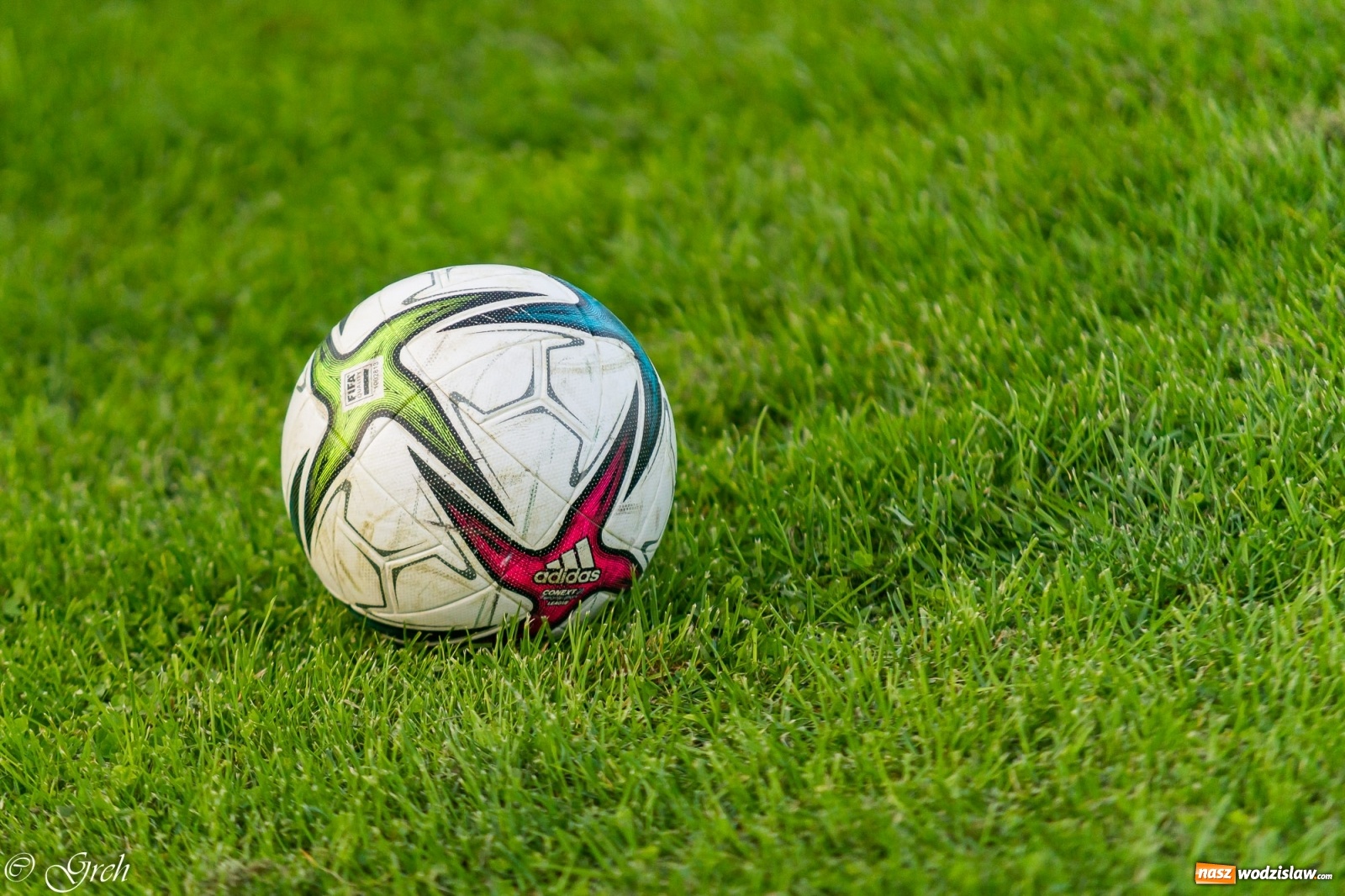 Zdjęcie w galerii na portalu naszwodzislaw.com: Wicher Płonia niestraszny pszowskiemu Górnikowi [FOTO] wiadomości z regionu