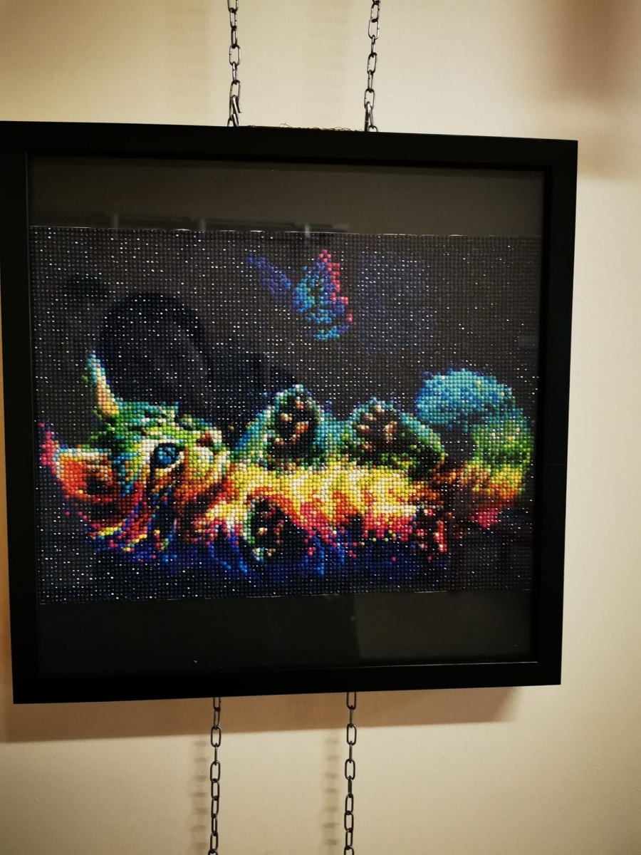 Zdjęcie w galerii na portalu naszwodzislaw.com: Wodzisławska Perła zaprasza na wystawę wiadomości z regionu