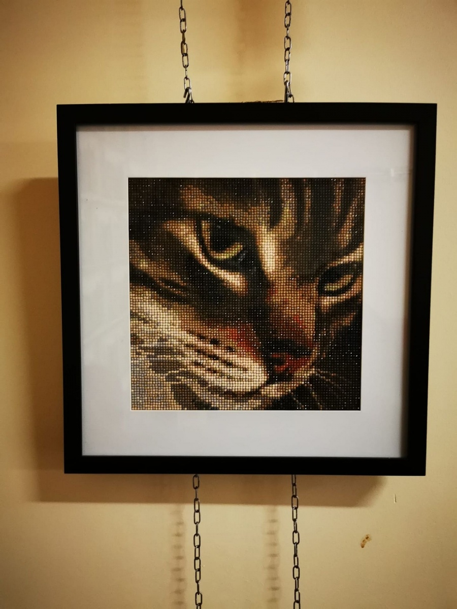 Zdjęcie w galerii na portalu naszwodzislaw.com: Wodzisławska Perła zaprasza na wystawę wiadomości z regionu