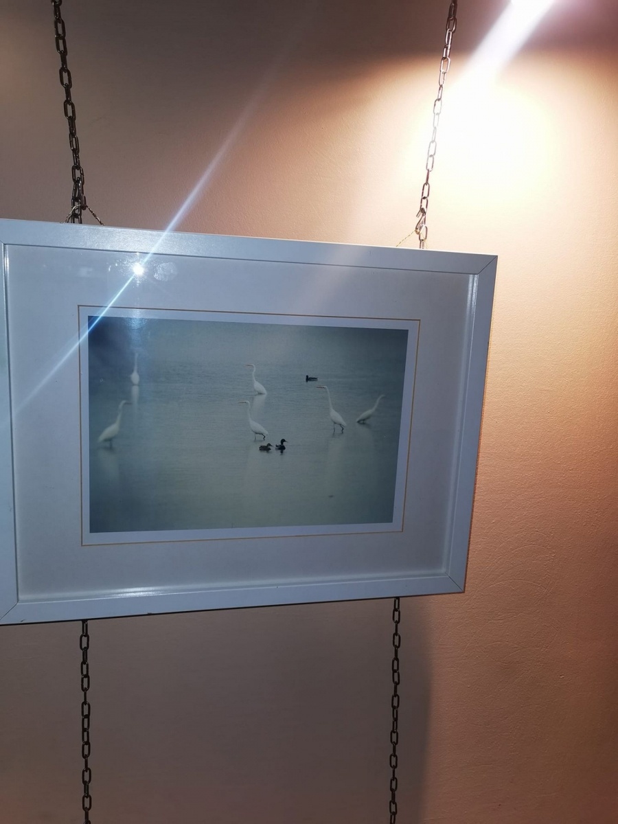 Zdjęcie w galerii na portalu naszwodzislaw.com: Wodzisławska Perła zaprasza na wystawę wiadomości z regionu