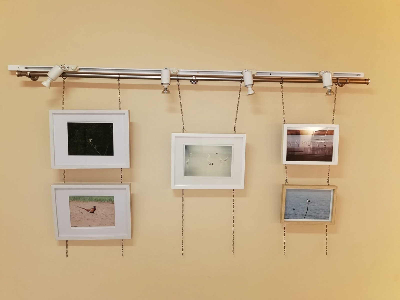 Zdjęcie w galerii na portalu naszwodzislaw.com: Wodzisławska Perła zaprasza na wystawę wiadomości z regionu