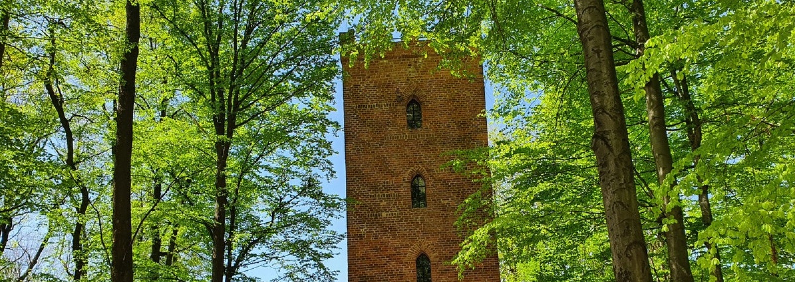 Zdjęcie w galerii na portalu naszwodzislaw.com: Sezon na Baszcie Rycerskiej podsumowany wiadomości z regionu